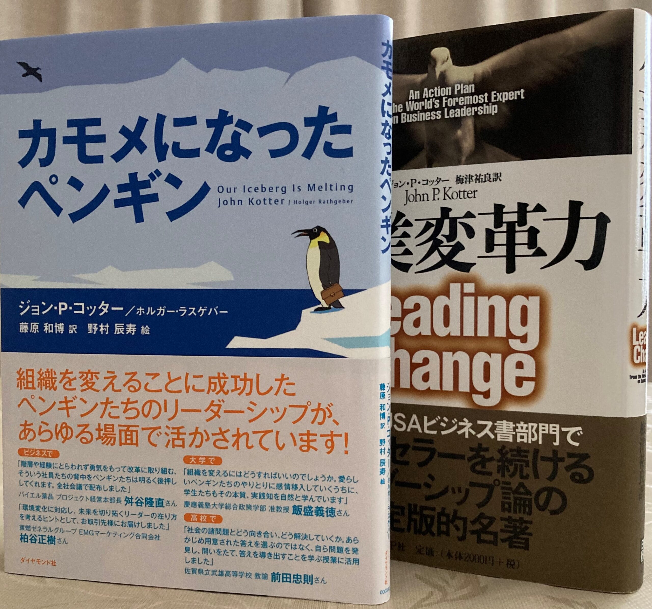 紹介した本書と同じ著者の本格的な専門書を２冊まとめて、立てて写した写真。