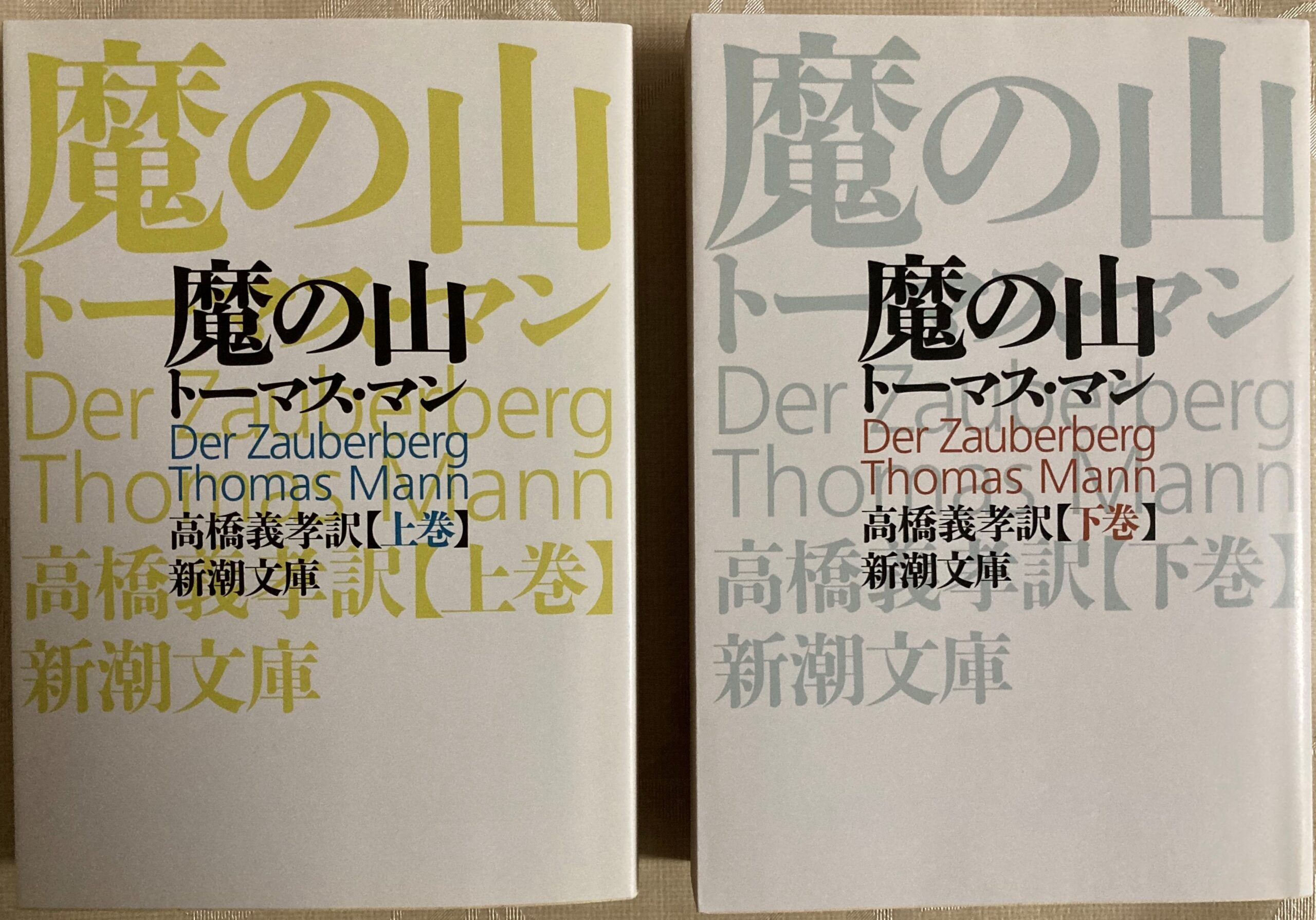 紹介した魔の山の文庫本の表紙の写真　上下２巻