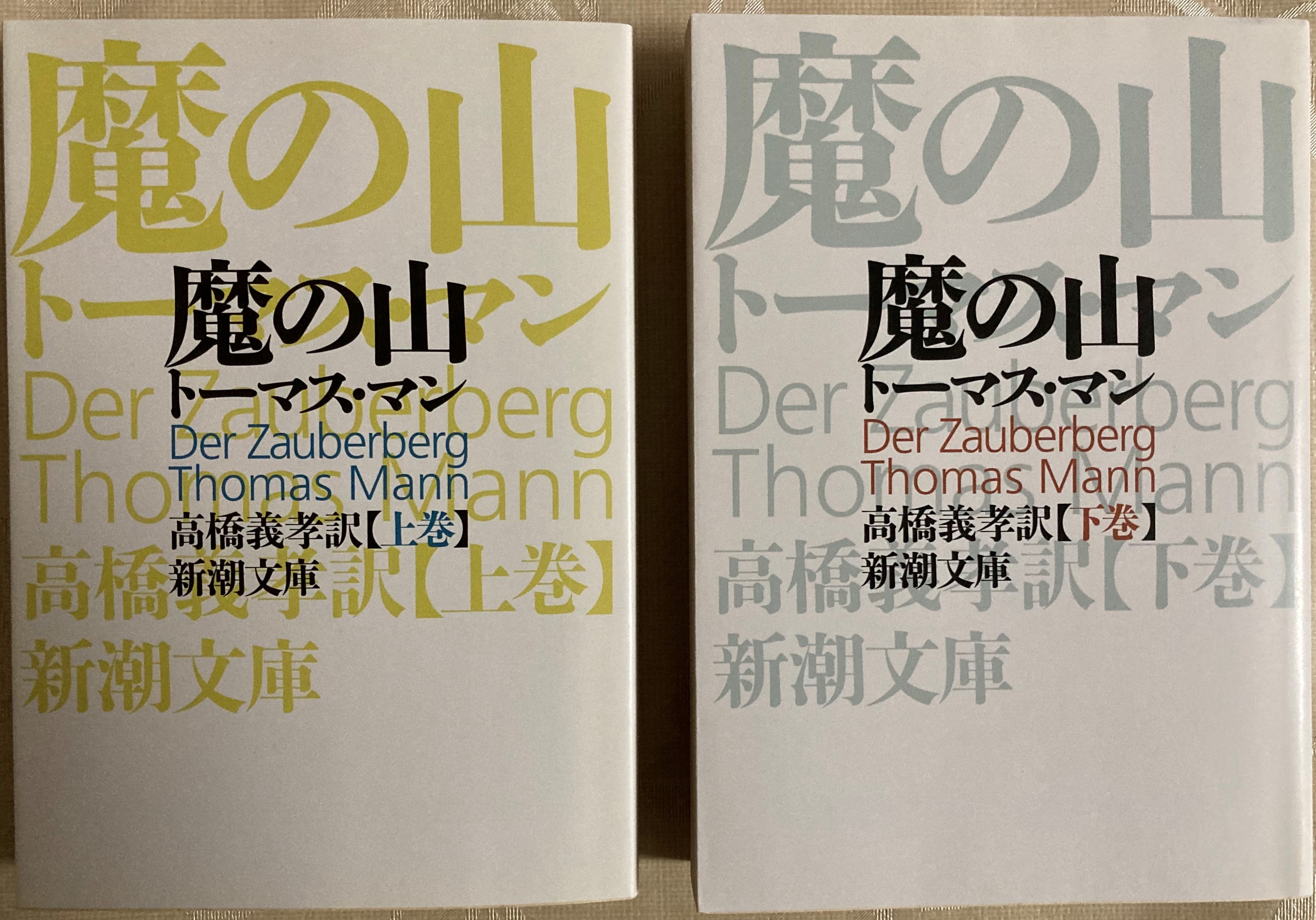 トーマス マン 魔の山 世紀至高の文学を遂に読了 最高の文学作品に酔いしれる幸福感 Atsuatsutakechan S Blog