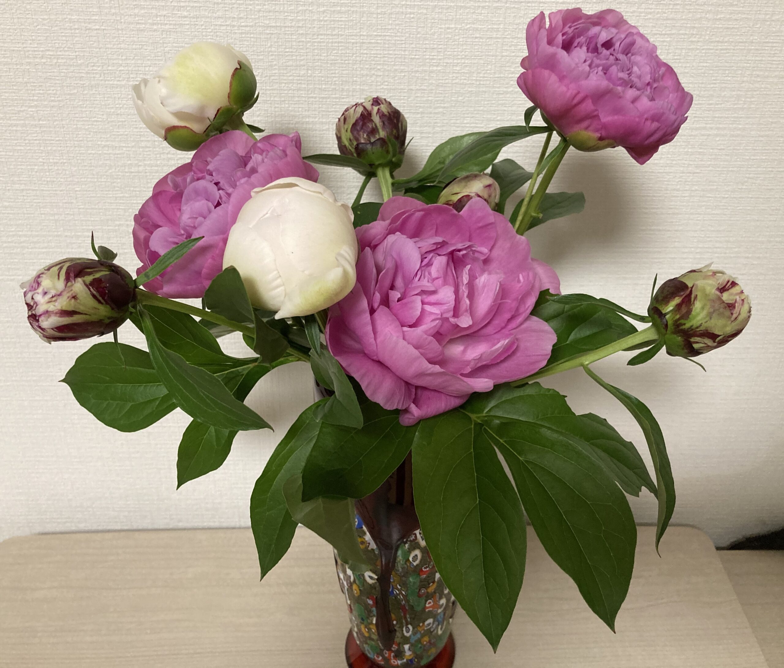 シャクヤクの切り花を花瓶に生けた写真①