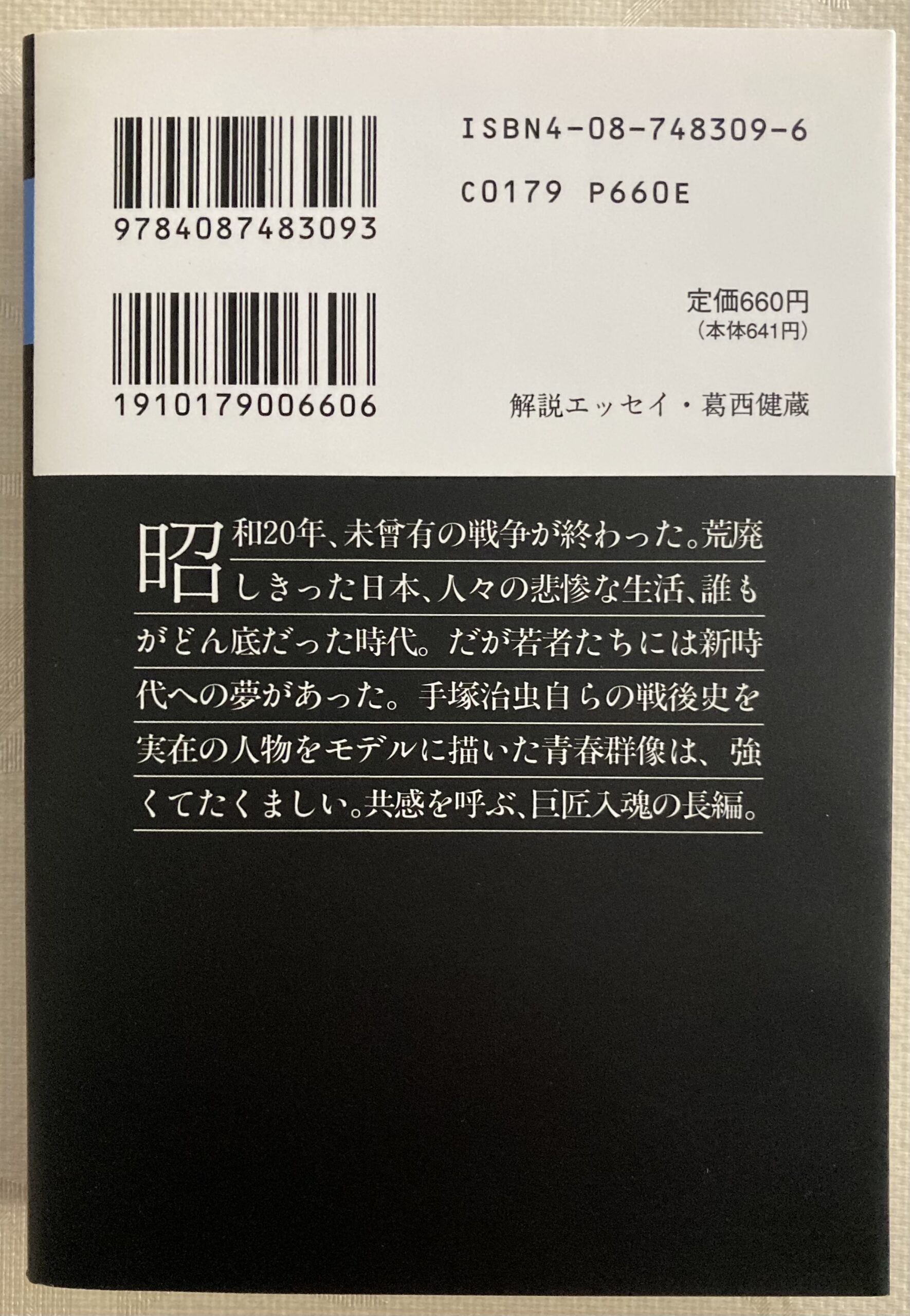 現在は入手できない集英社文庫の「どついたれ」の裏表紙。