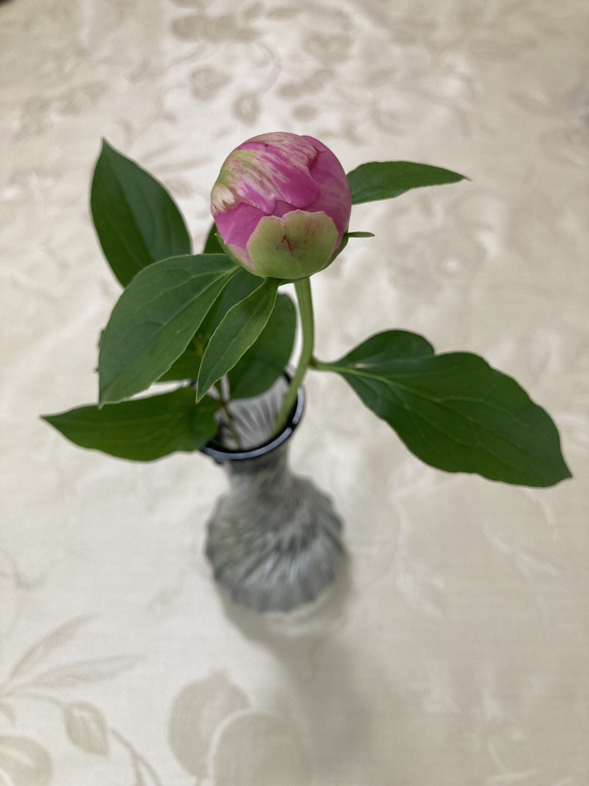 一輪差しに挿した様子。