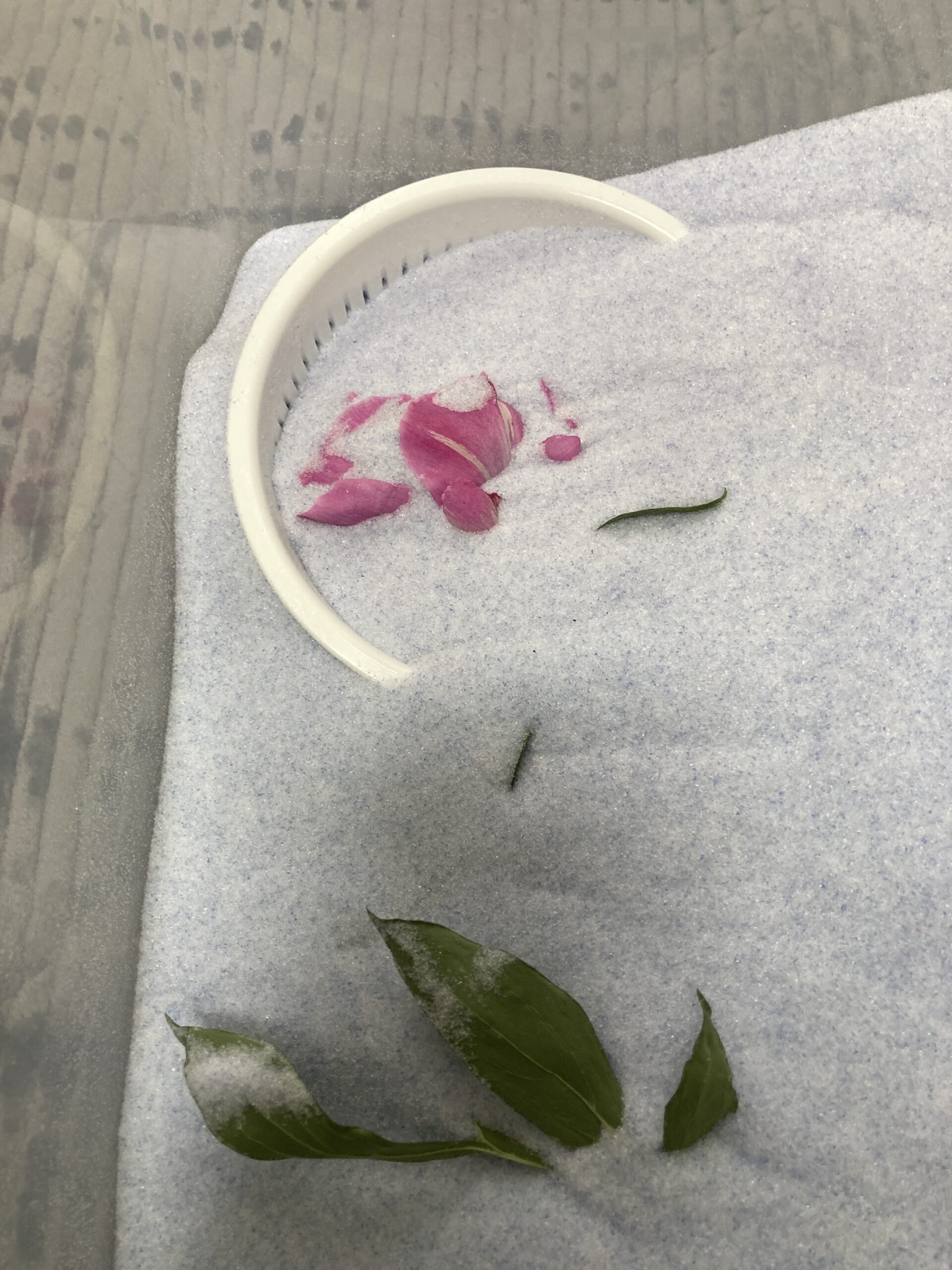 取り出しの工程。少しずつシリカゲルを出していくと、中からドライになったシャクヤクが姿を現してくる。