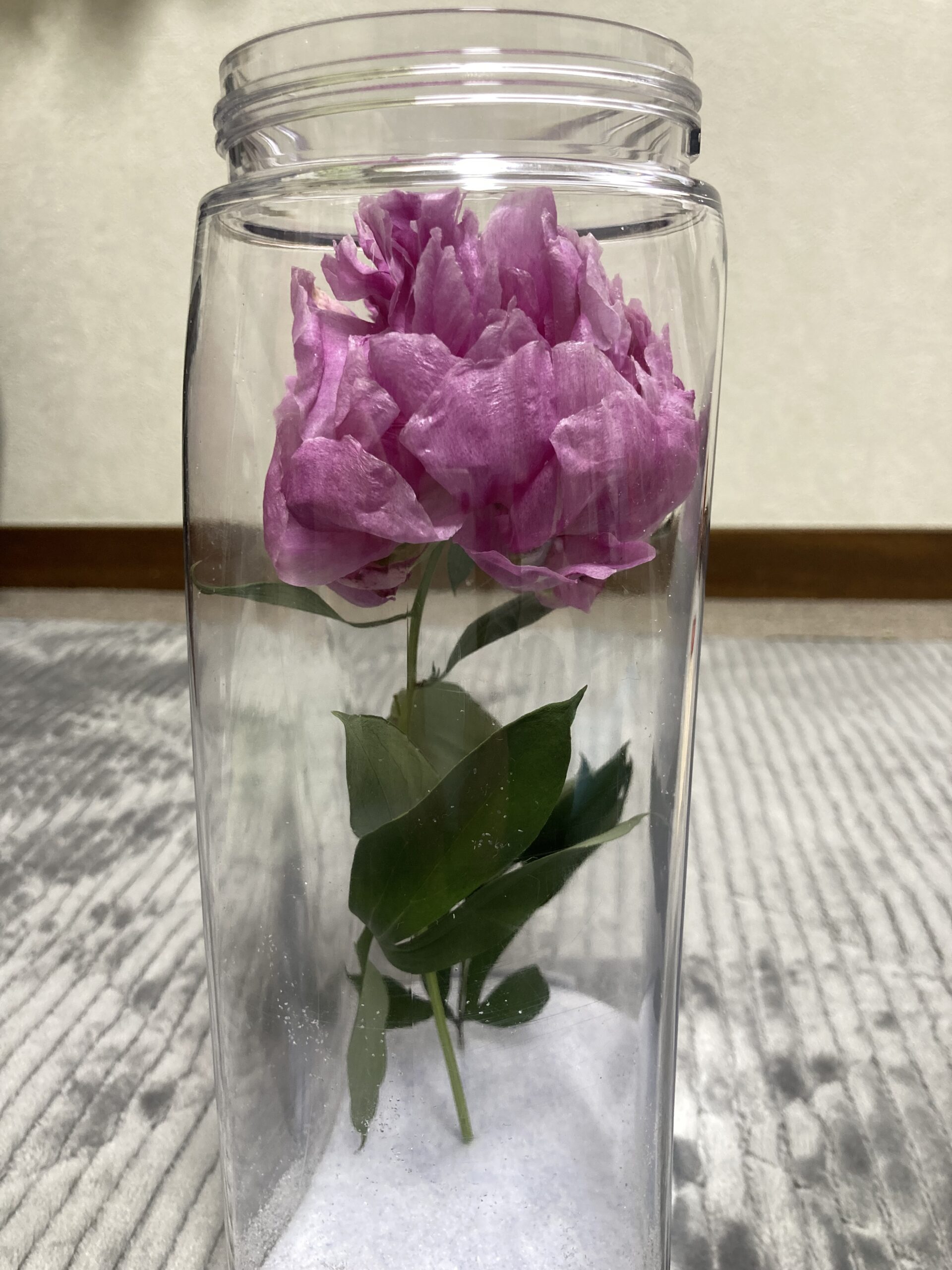 左真横から撮影。裏面がそれほどペチャンコなわけでもない。