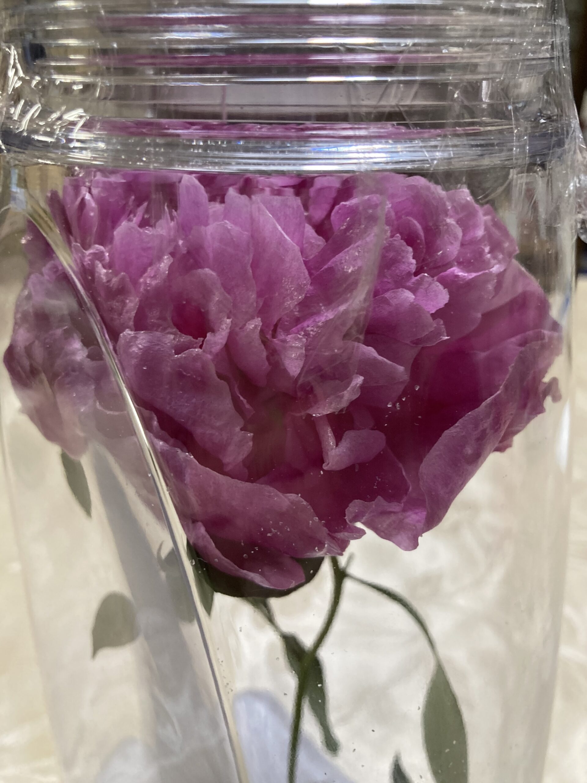 ガラス容器の中のドライフラワーを花の部分のズームで撮影。