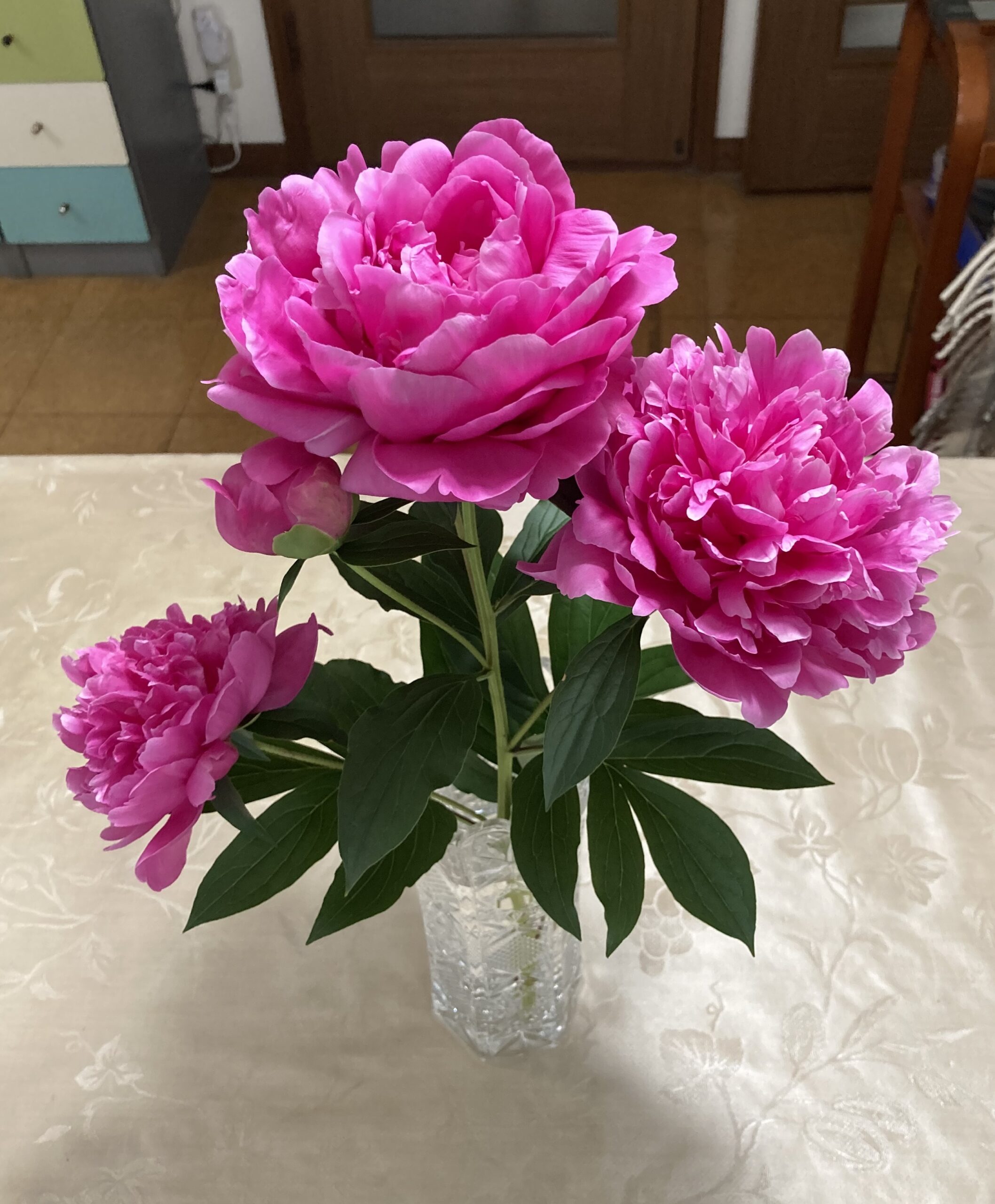 蕾のままドライフラワーにすればいいと割り切れれば、この時点が一番美しく咲き誇っていたのは間違いない。