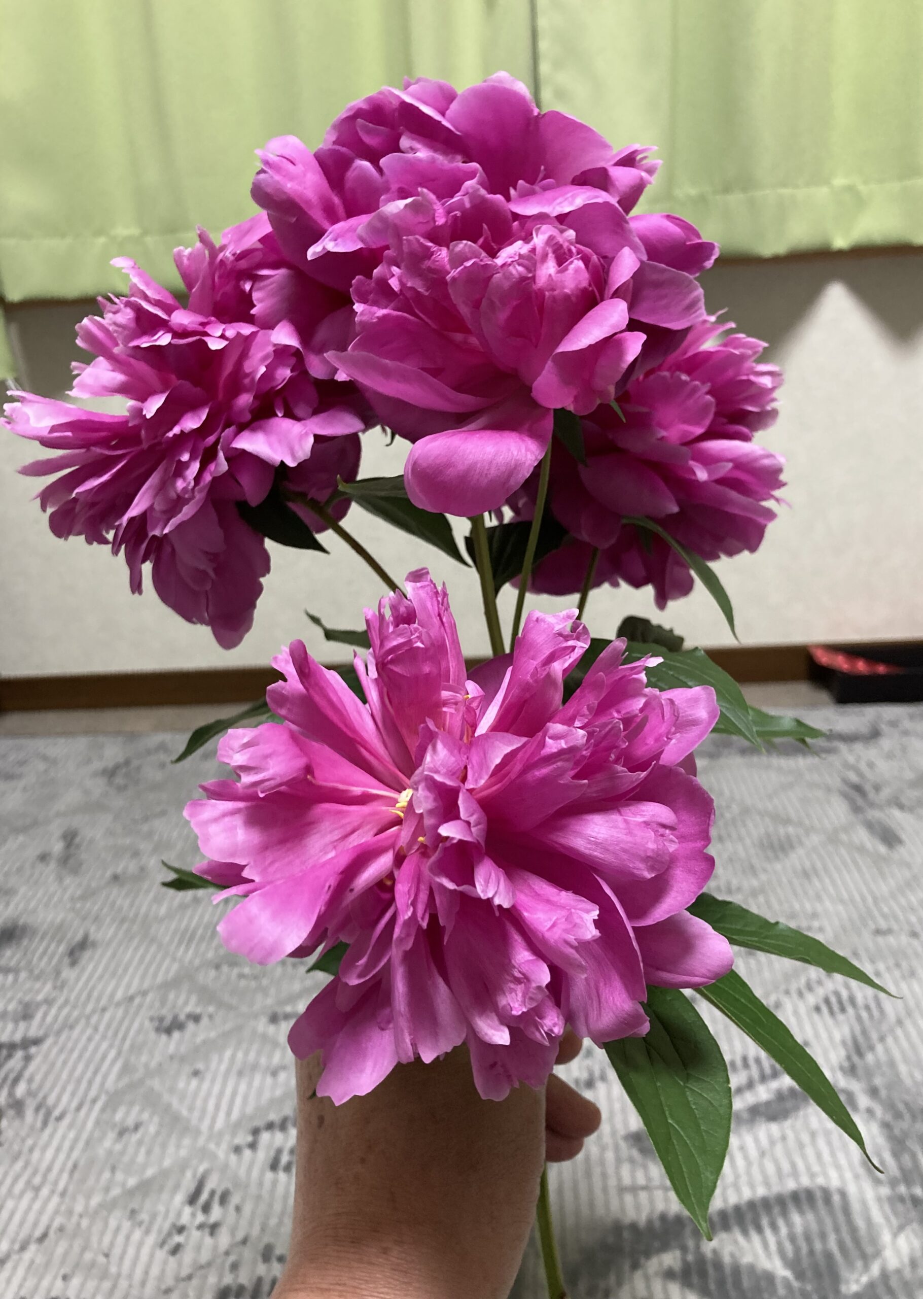 生花 ビフォー
