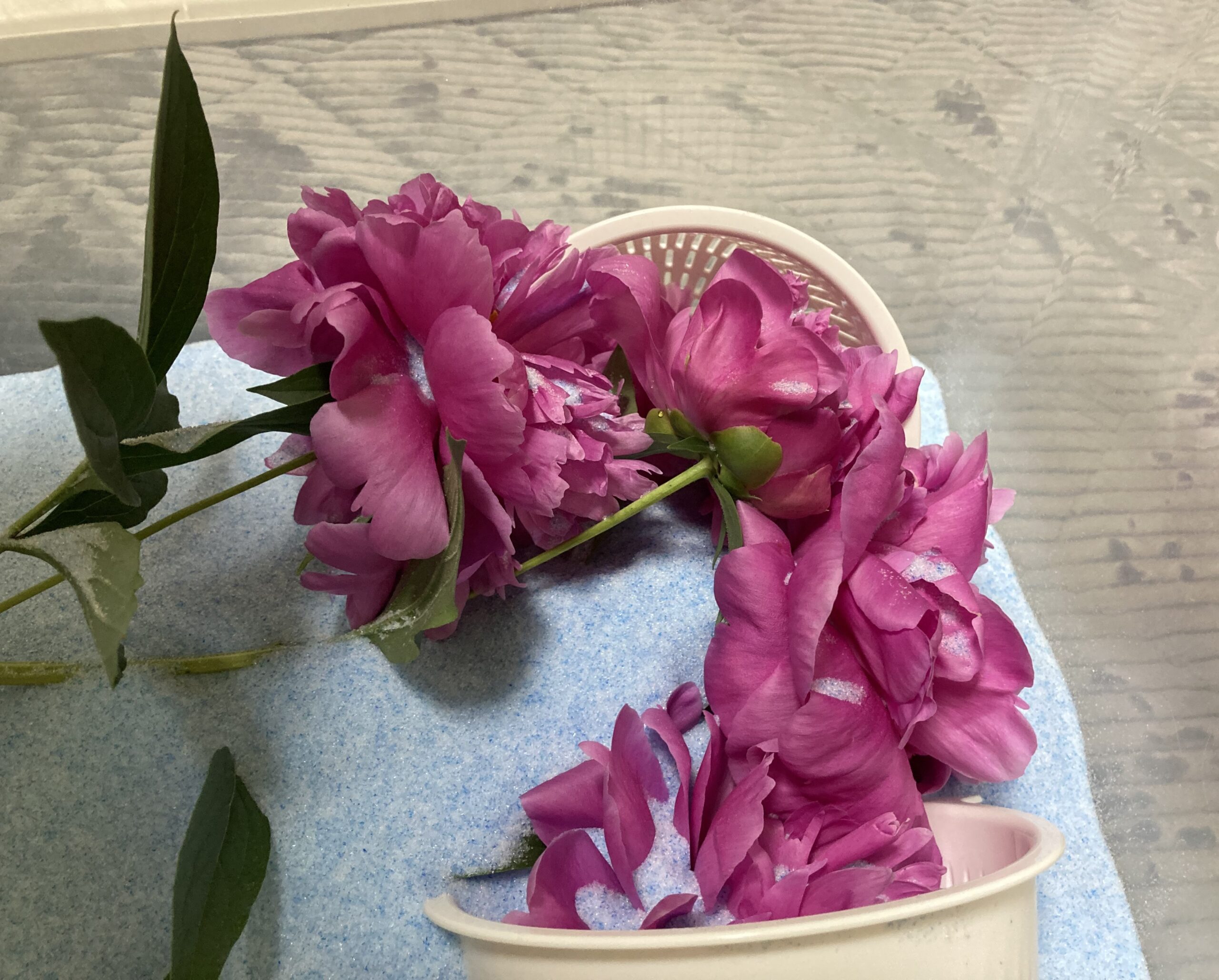 横から見るとこんな感じとなる。花と花との間をできるだけ立体的にする必要があった。