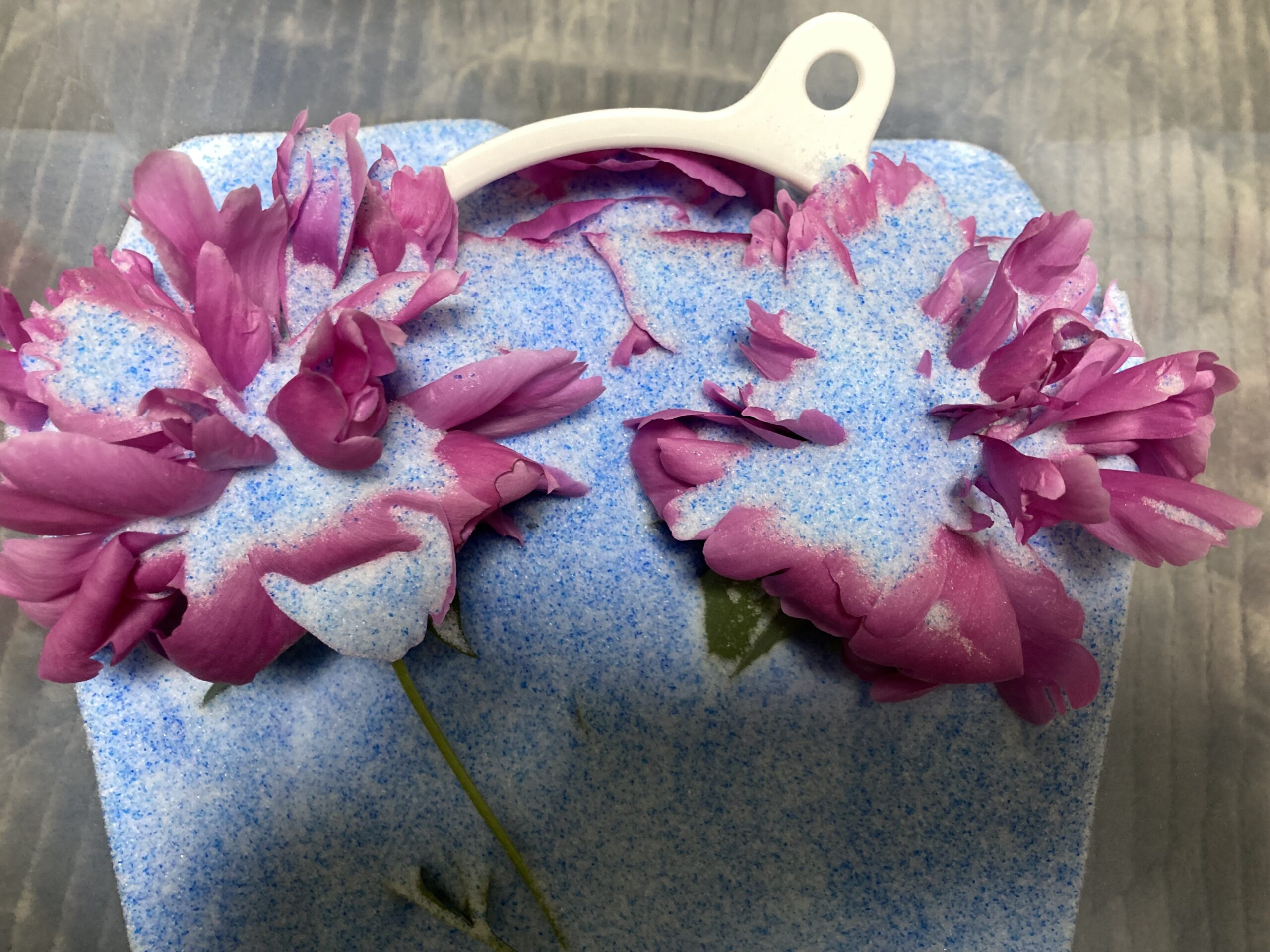 こんな感じに、花全体にシリカゲルを注いで、全てを埋め尽くしてしまう。
