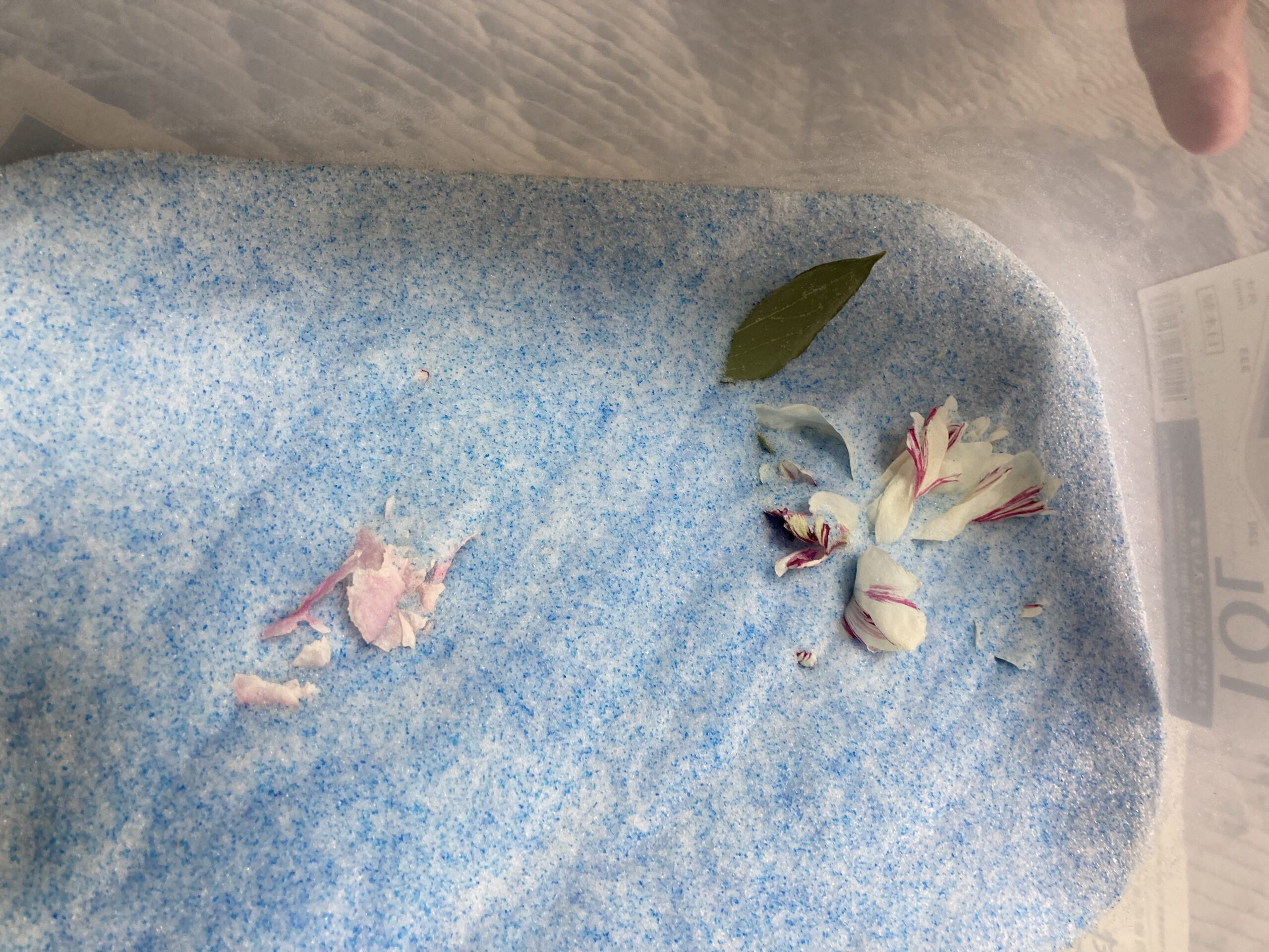 麒麟丸が少し姿を現してきた。