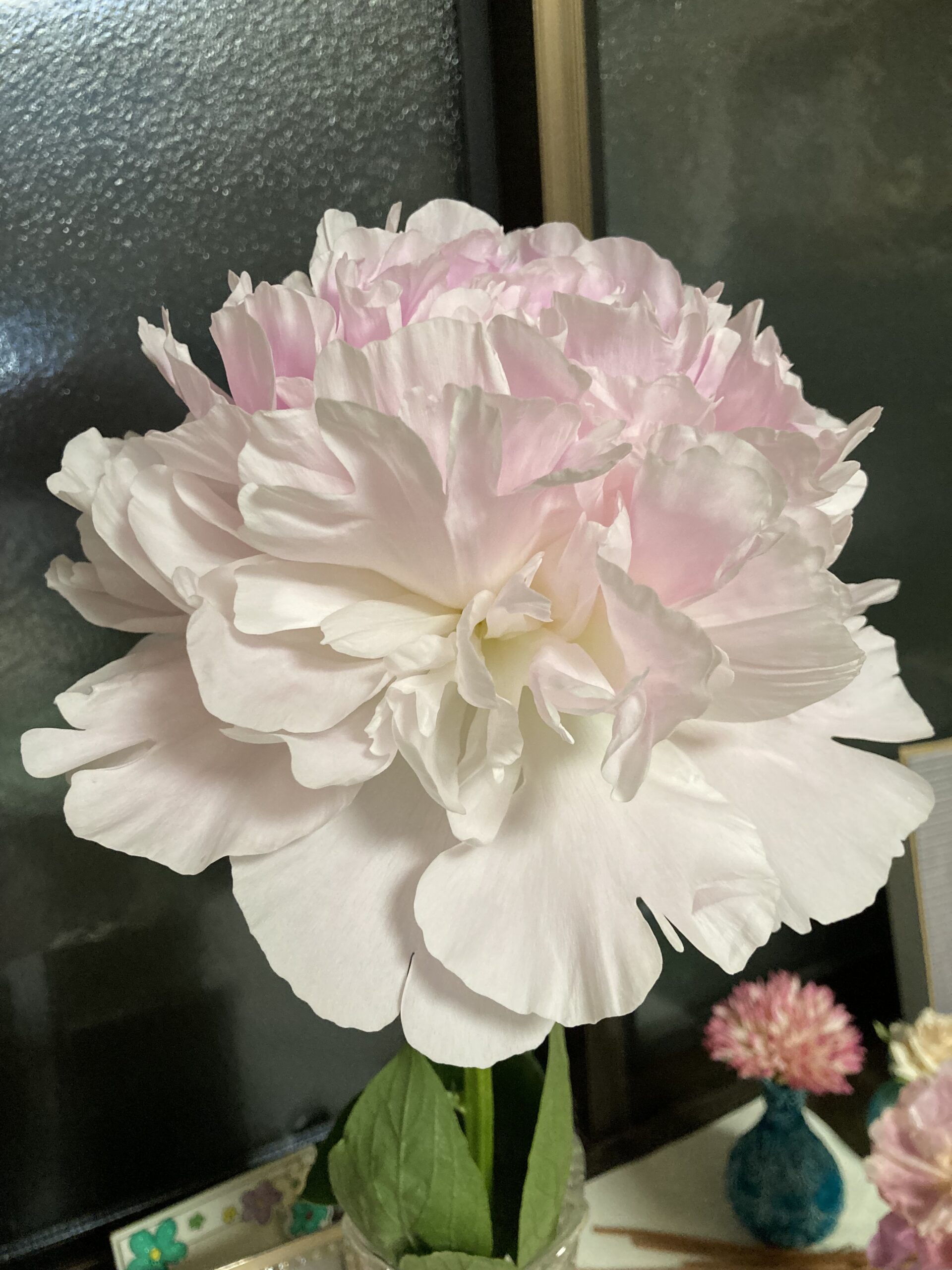 清楚な美しさ。