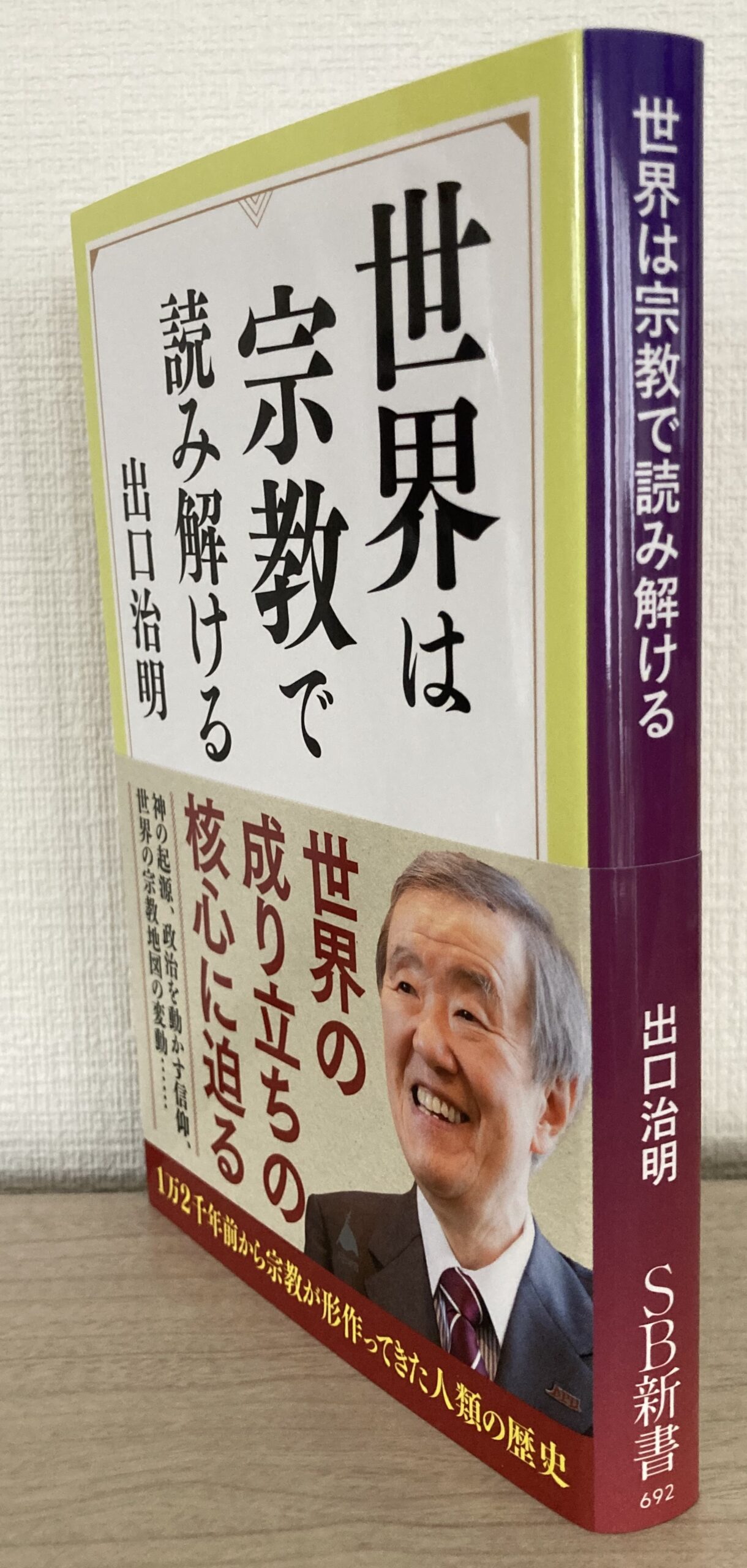今回紹介した新書を立てて横から撮影した。