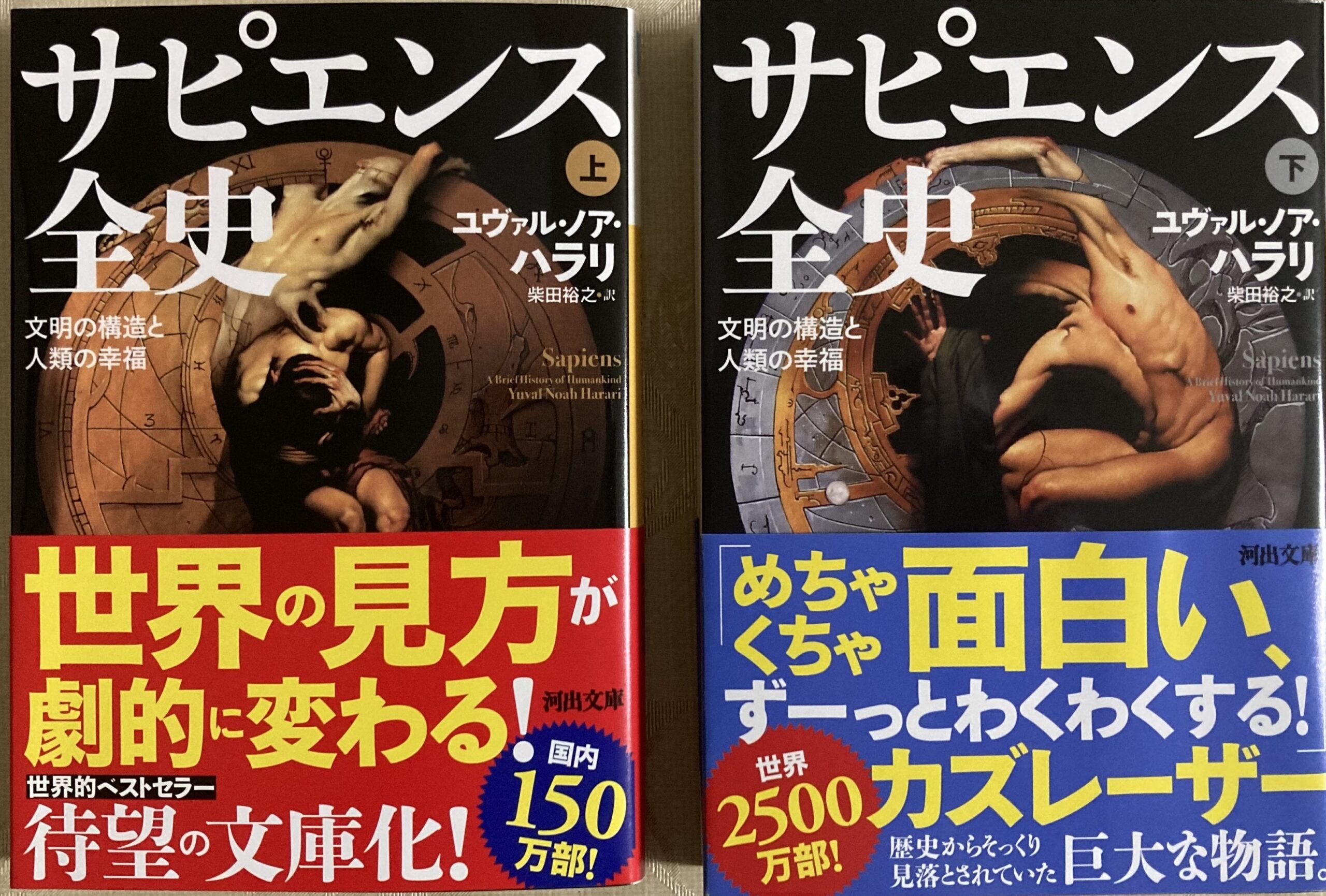 紹介した「サピエンス全史」の表紙の写真