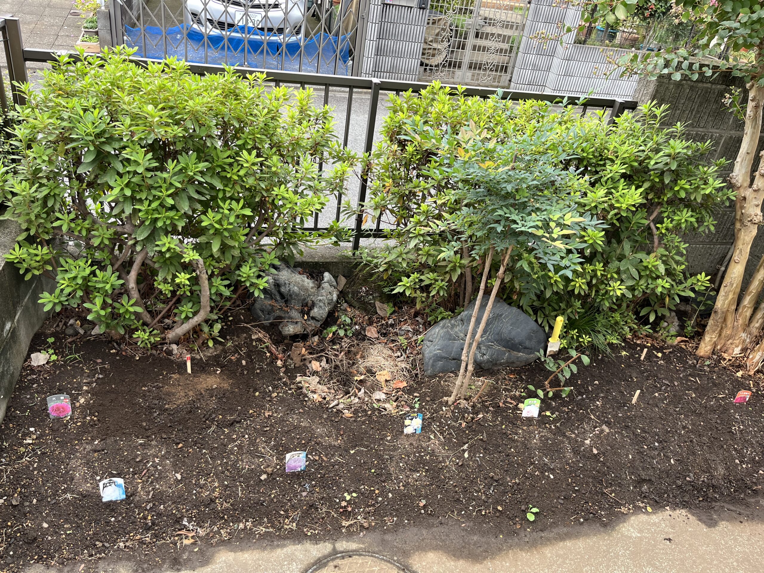 ここに9種類のシャクヤクが植え付けられている。