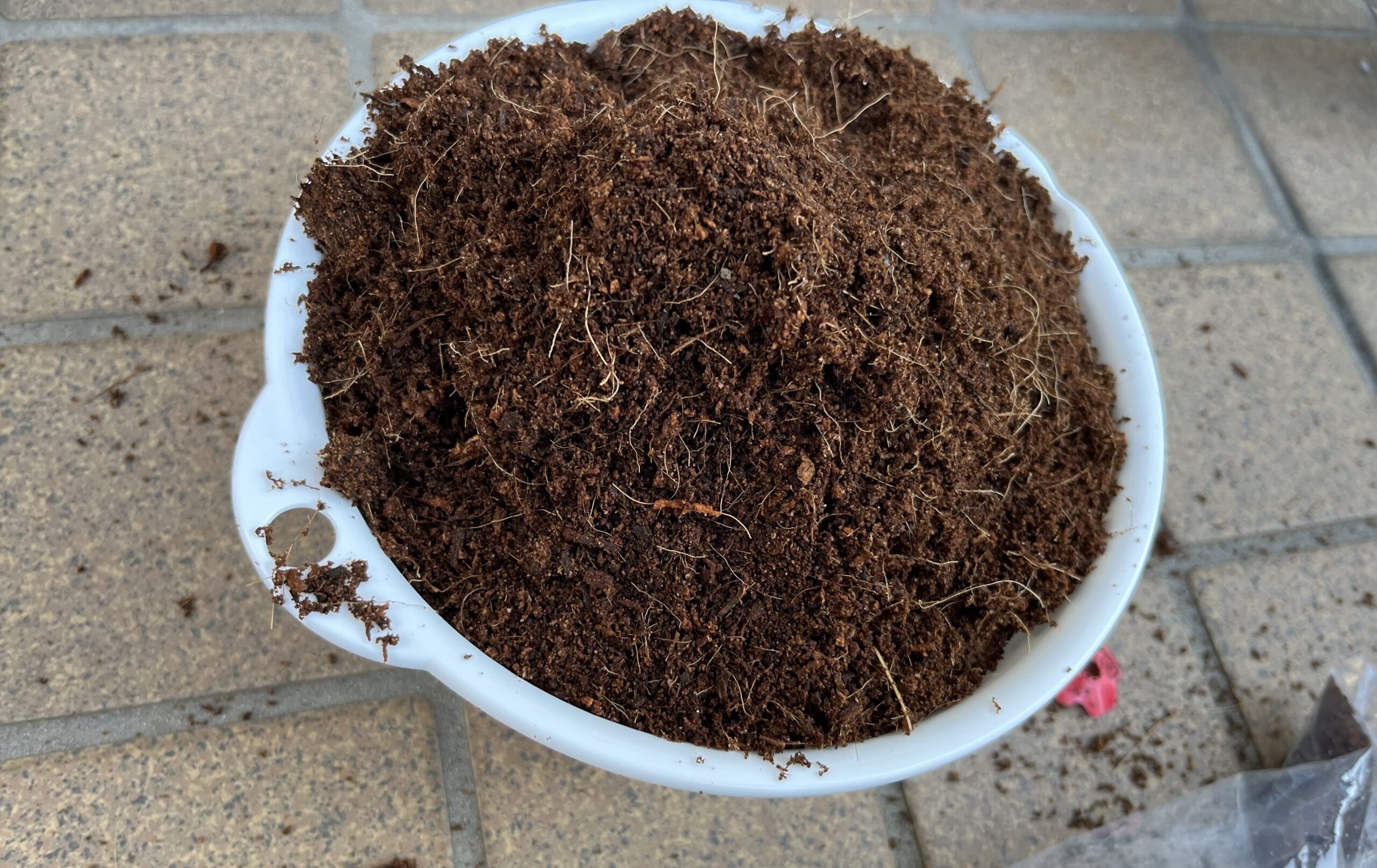 これがビニール袋に苗と一緒に入っていたピートモス。有効に使う。