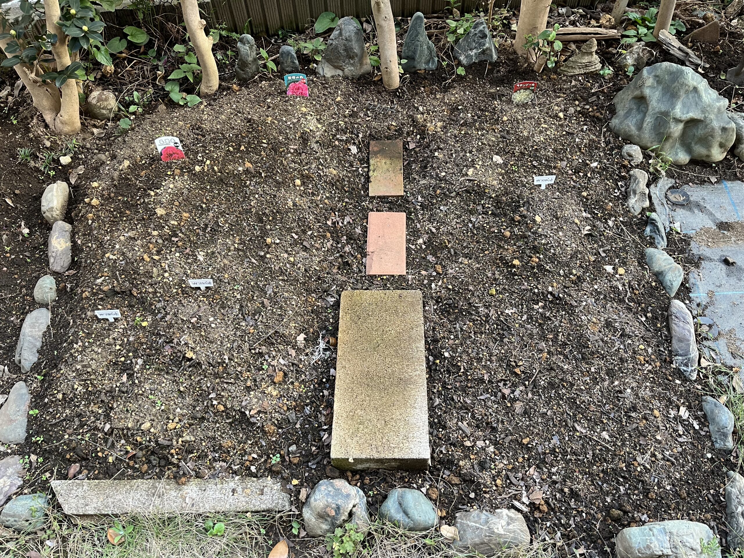 ここに植え付ける。そのために第2シャクヤク畑を増設した。