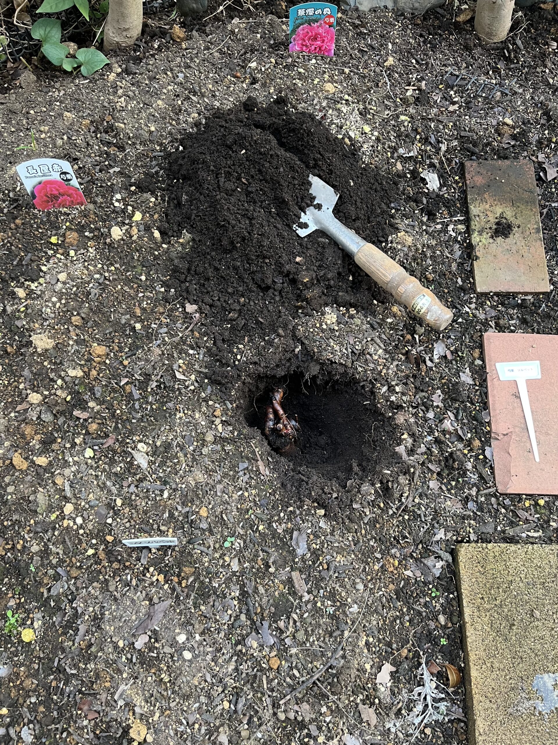 上から写すとこんな感じで、かなり地中に埋め込むイメージだ。