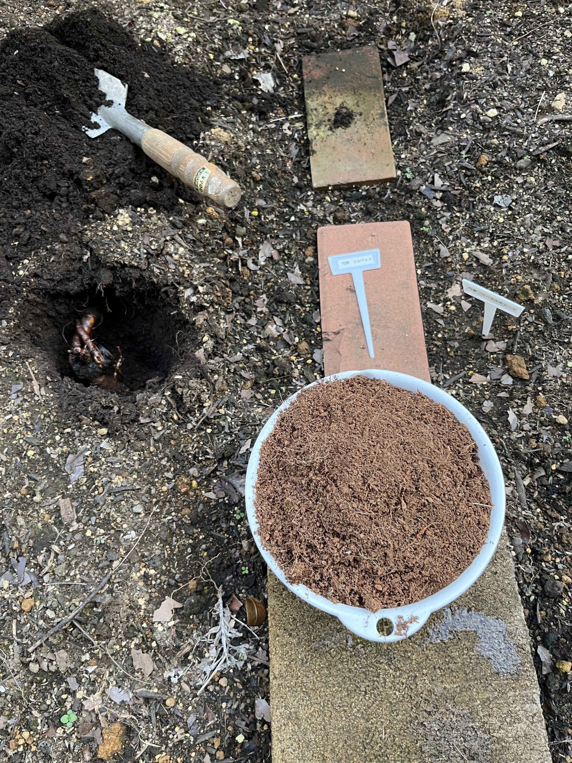 土をピートモスを混ぜ合わせて泡を埋めていく。