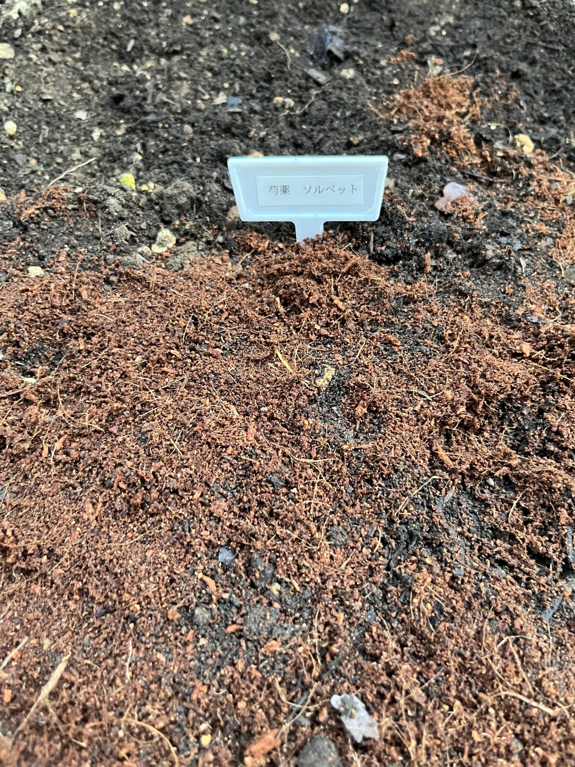 更にピートモスをかけ、土と混ぜ合わせる。