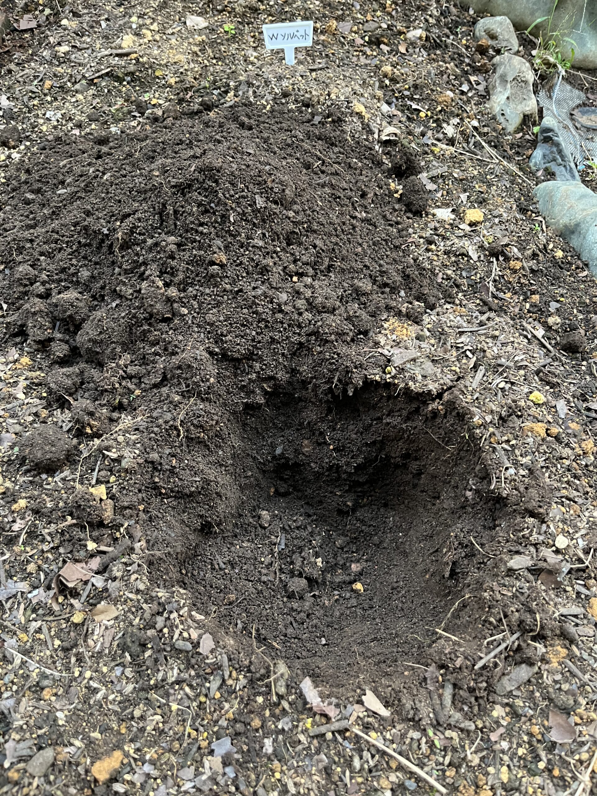 かなり深く穴を開けた。