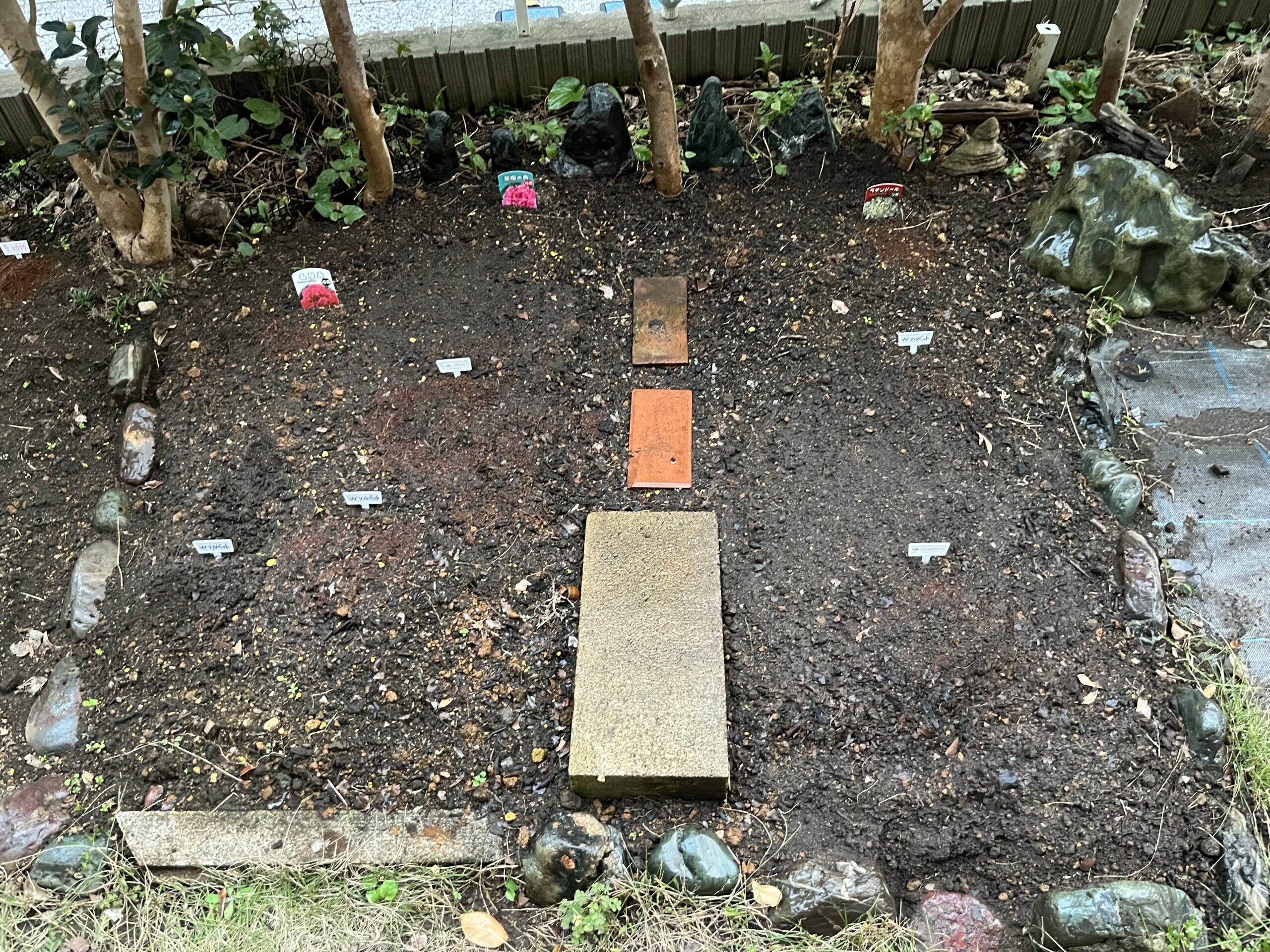 最後にしっかりと水を撒いて全て完了となった。