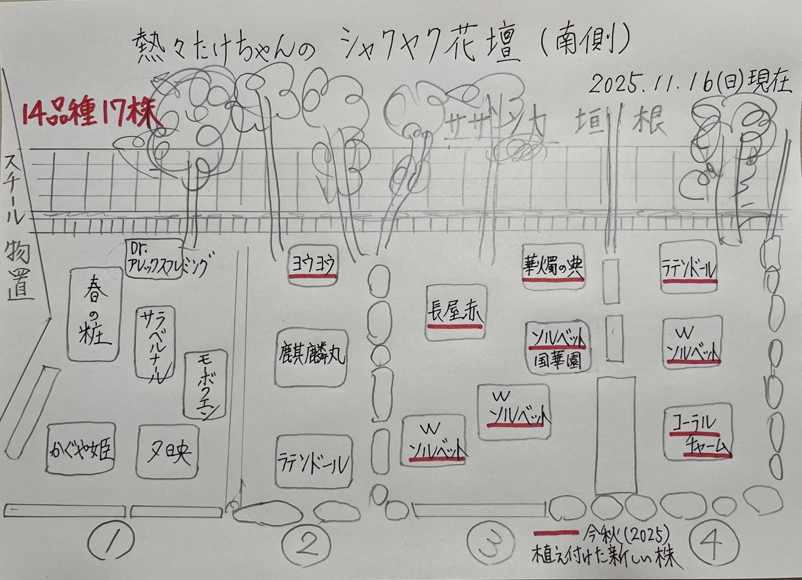 シャクヤク花壇の手書きの見取り図①