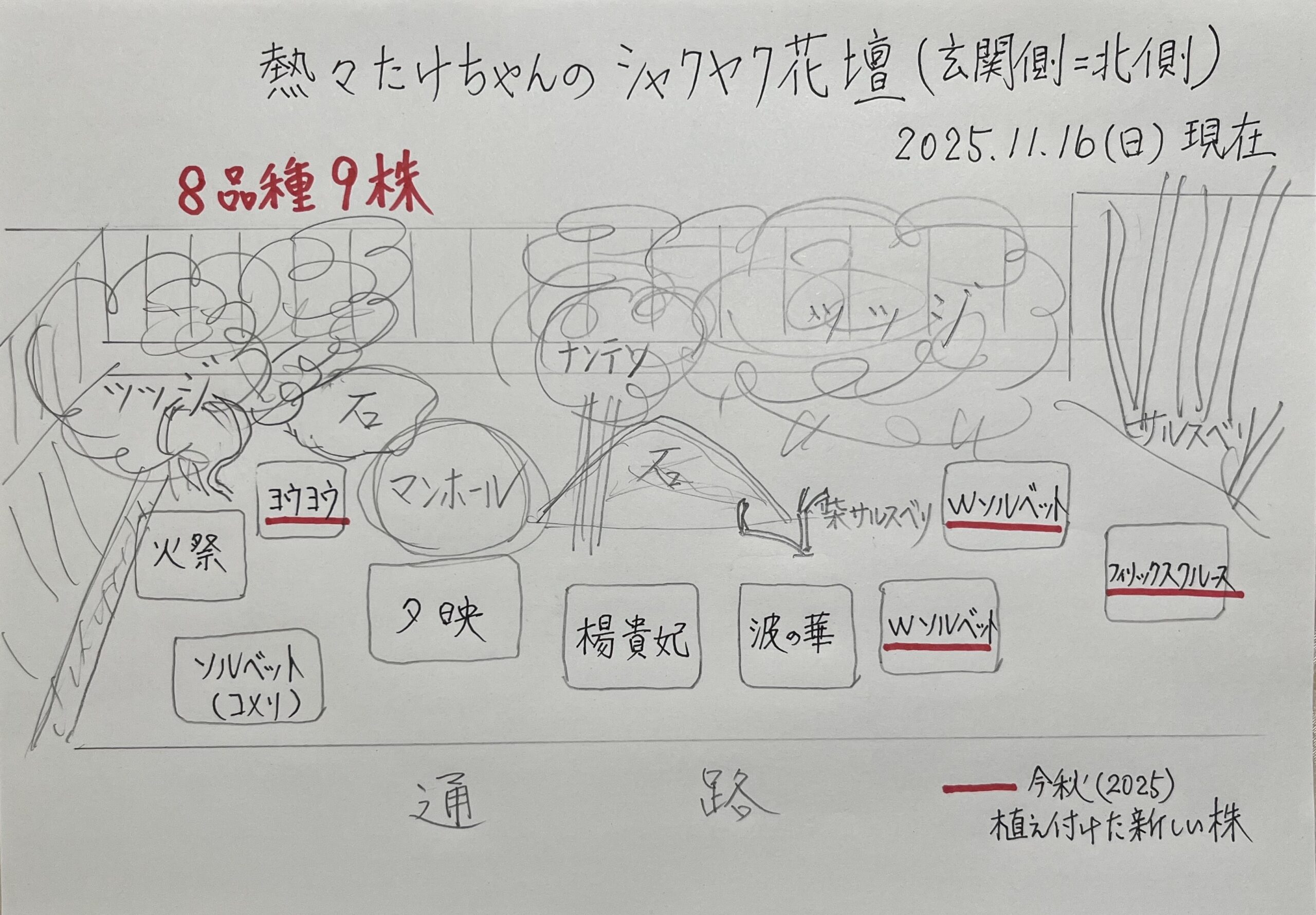 シャクヤク花壇の手書きの見取り図②