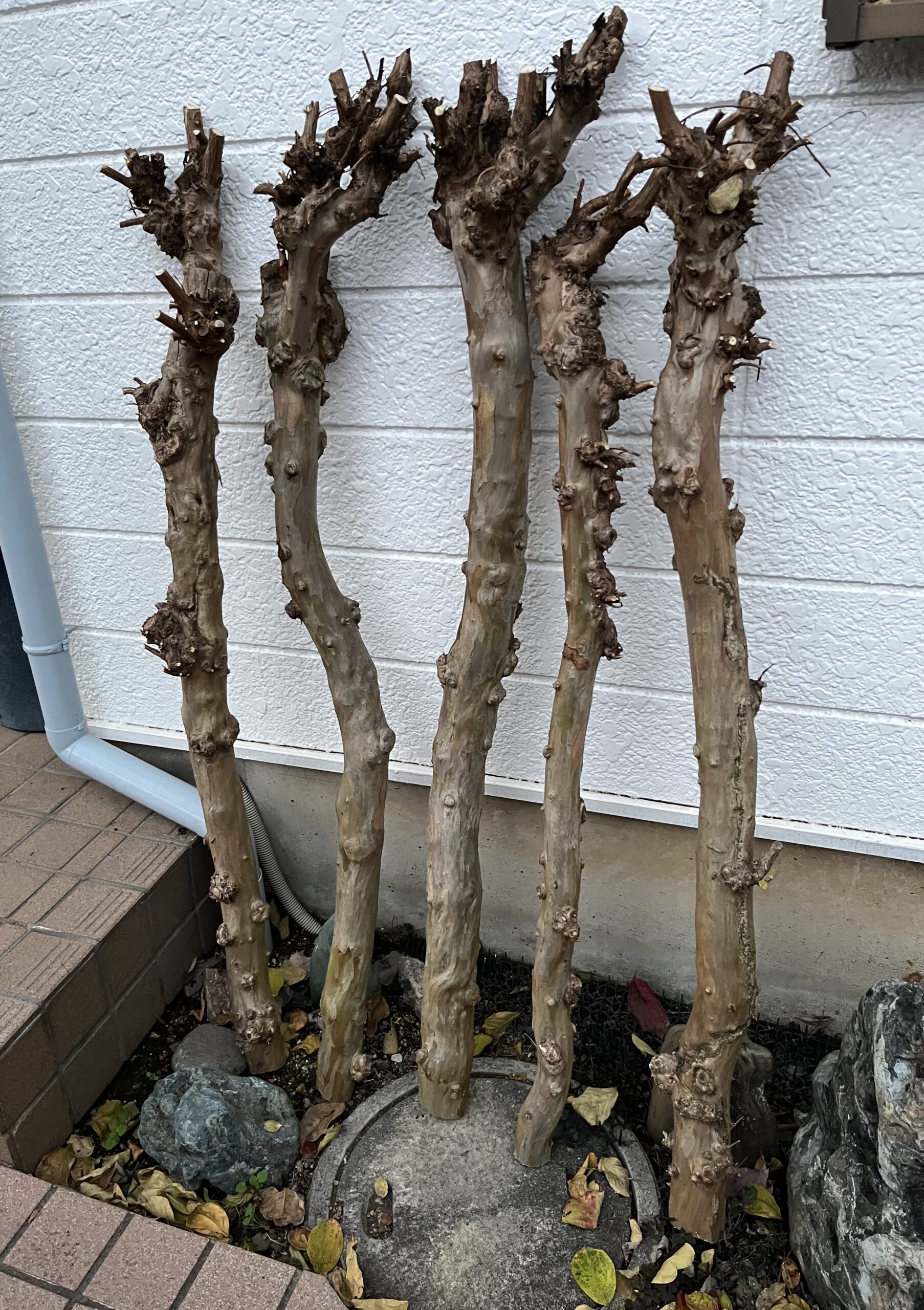 今までの30年間に心から感謝したい。ありがとう！