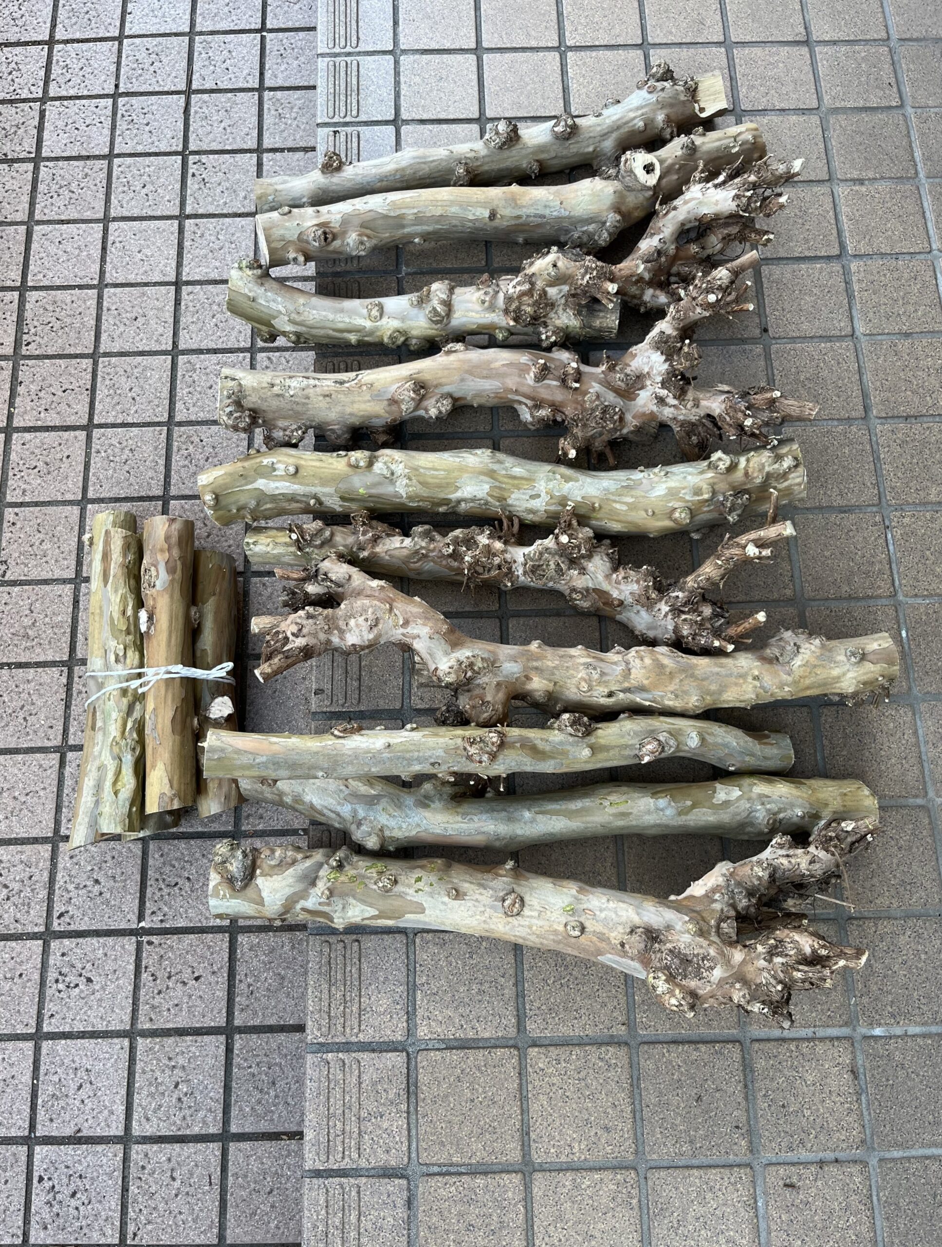 それぞれを半分に裁断した。