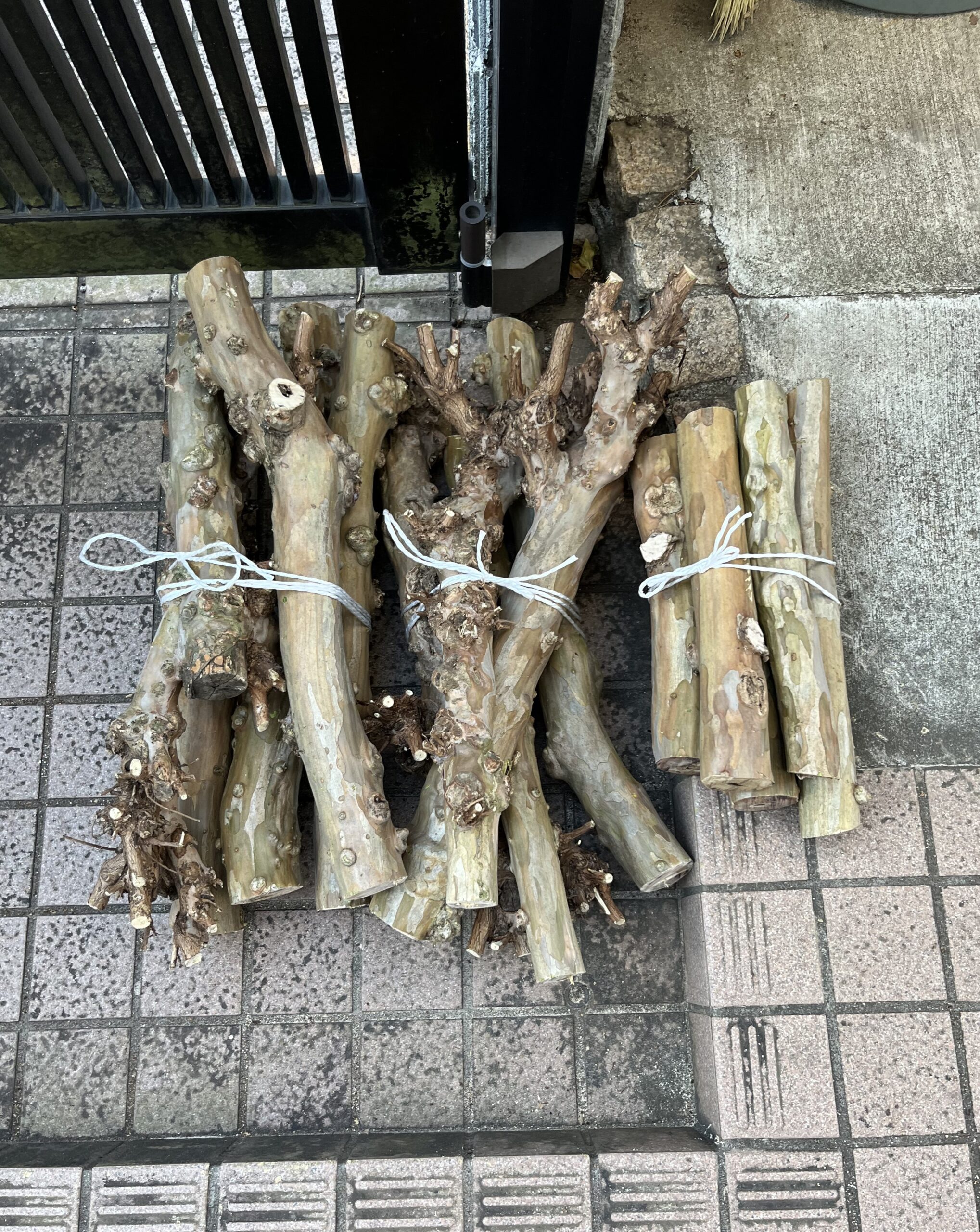 5本ずつ紐で縛る。