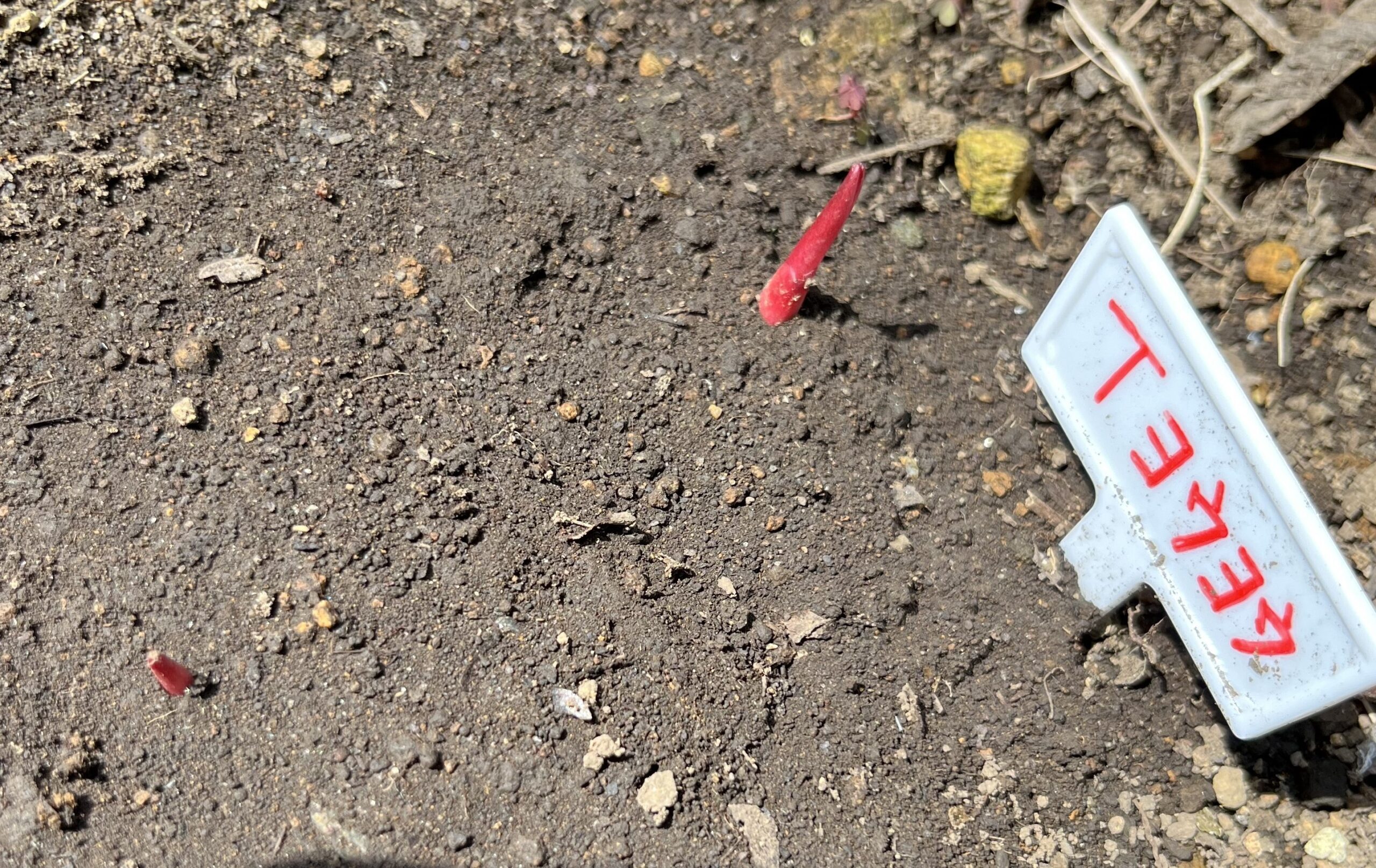 撮影：2026.3.22（日）