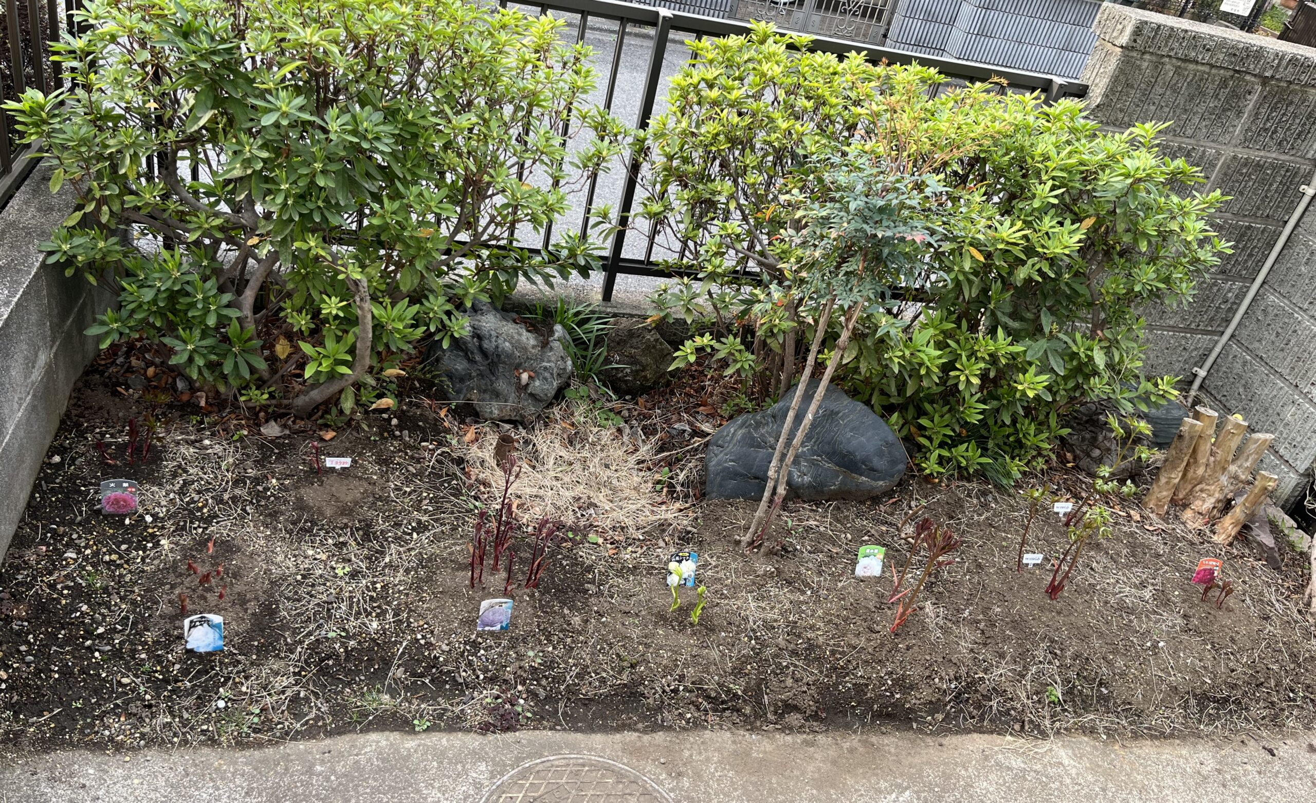 撮影：2026.3.30（月）