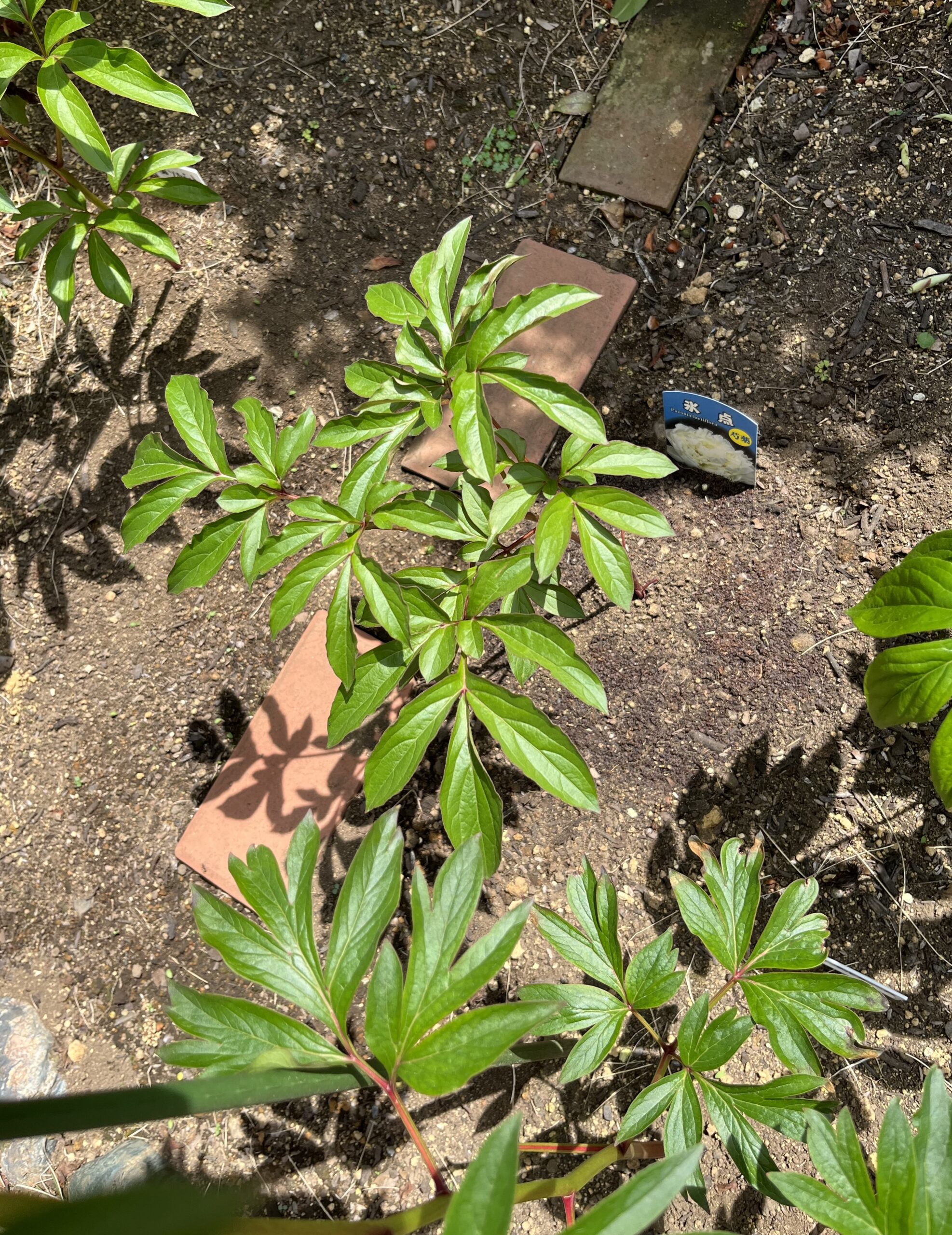 撮影：2026.4.14（火）