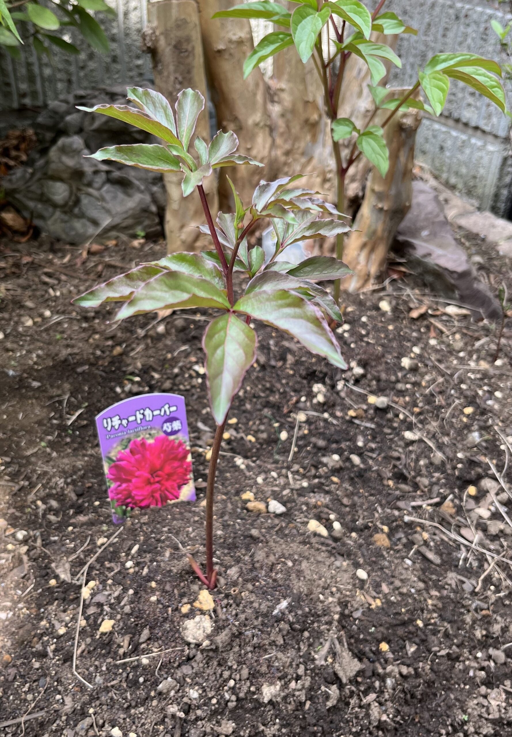 撮影：2026.4.14（火）