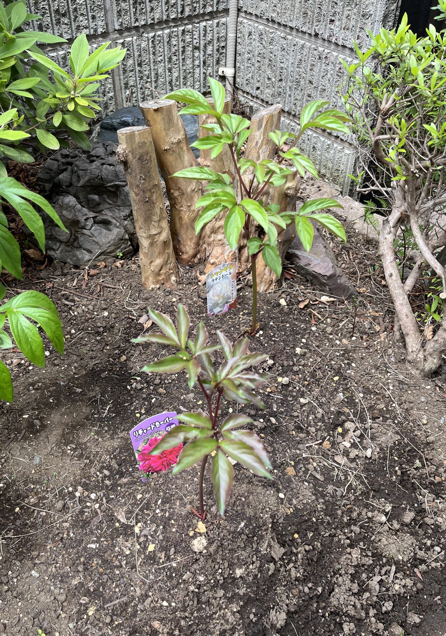 撮影：2026.4.14（火）