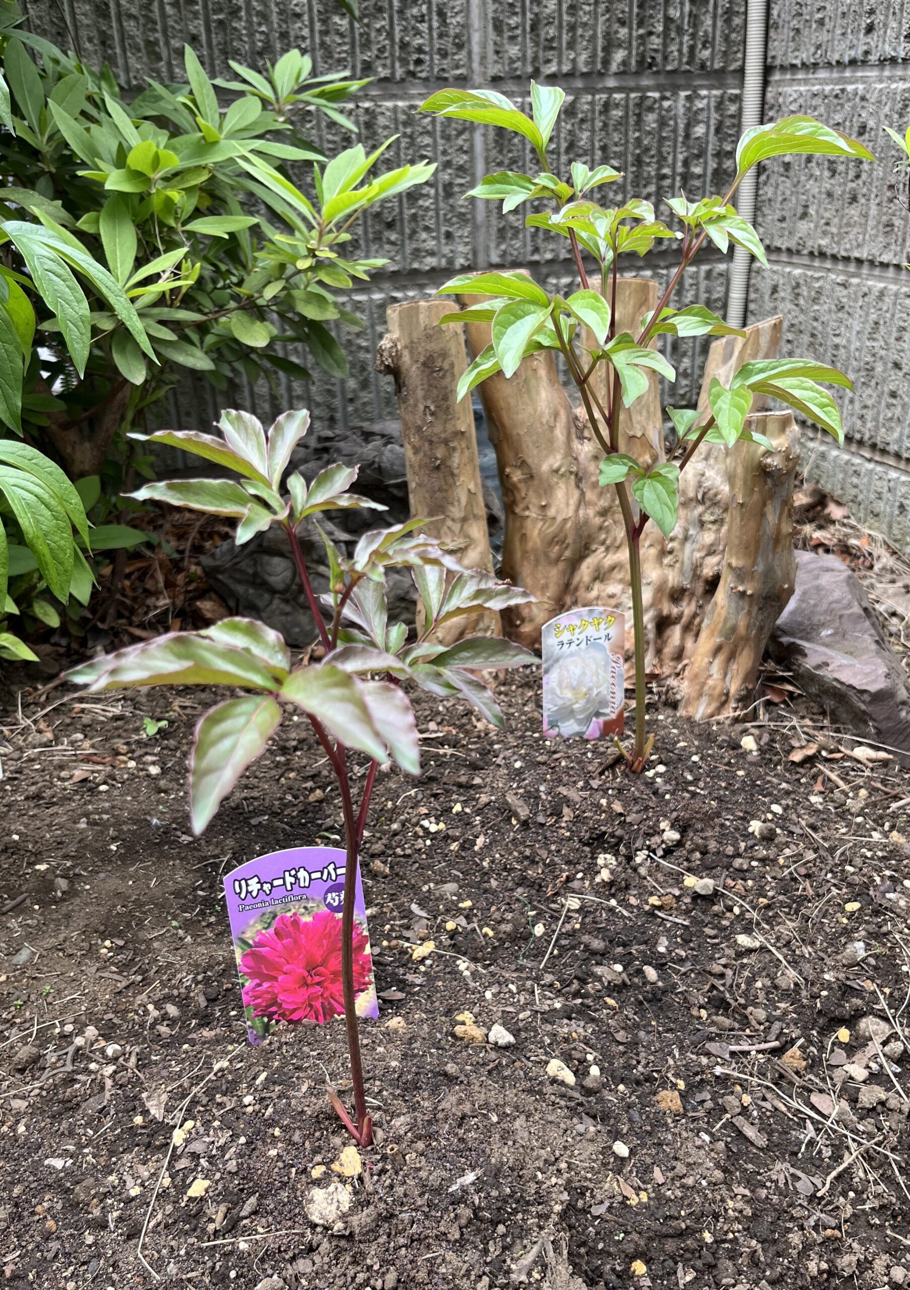 撮影：2026.4.14（火）