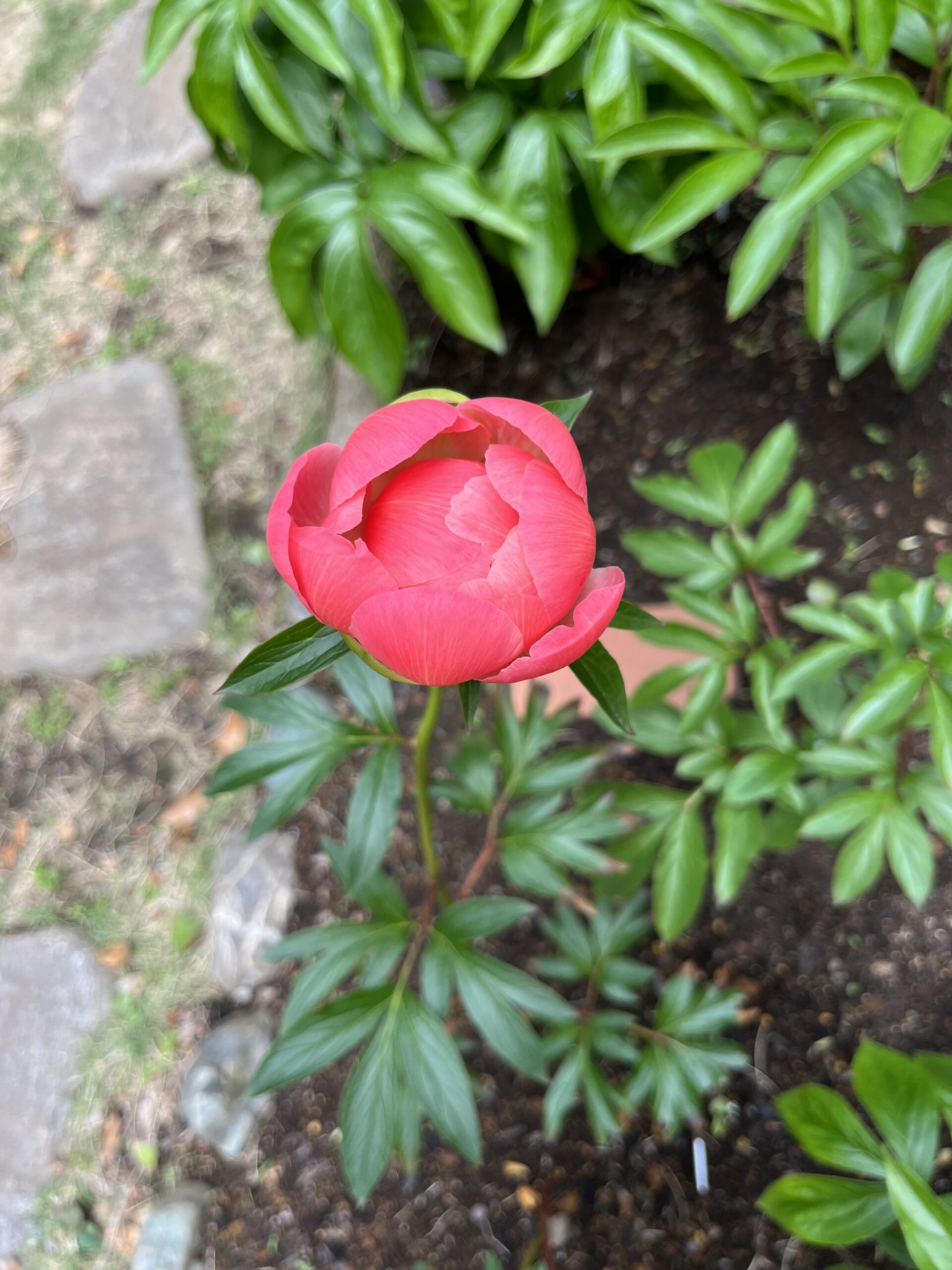 撮影：2026.4.27（月）12：44