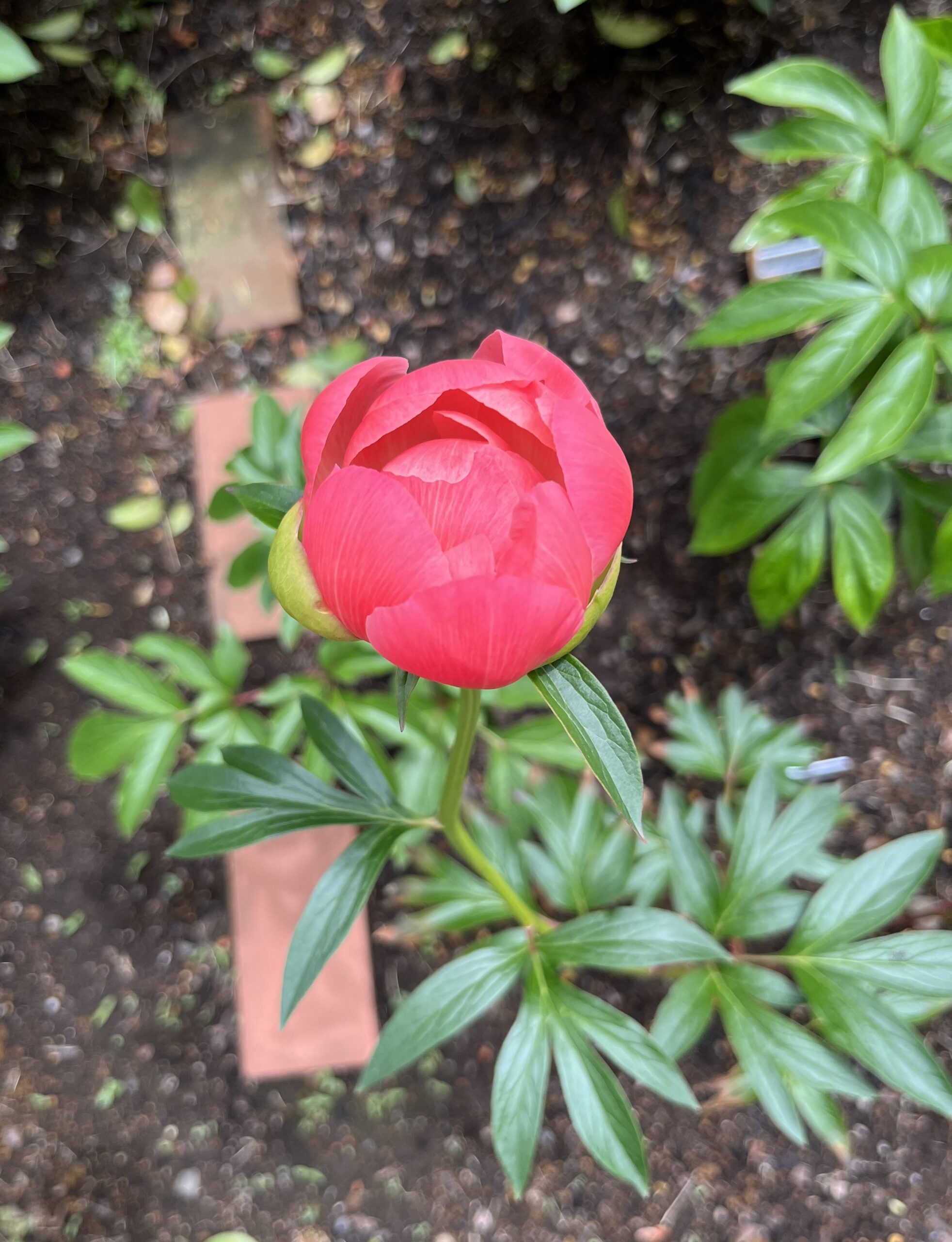 撮影：2026.4.27（月）12：45