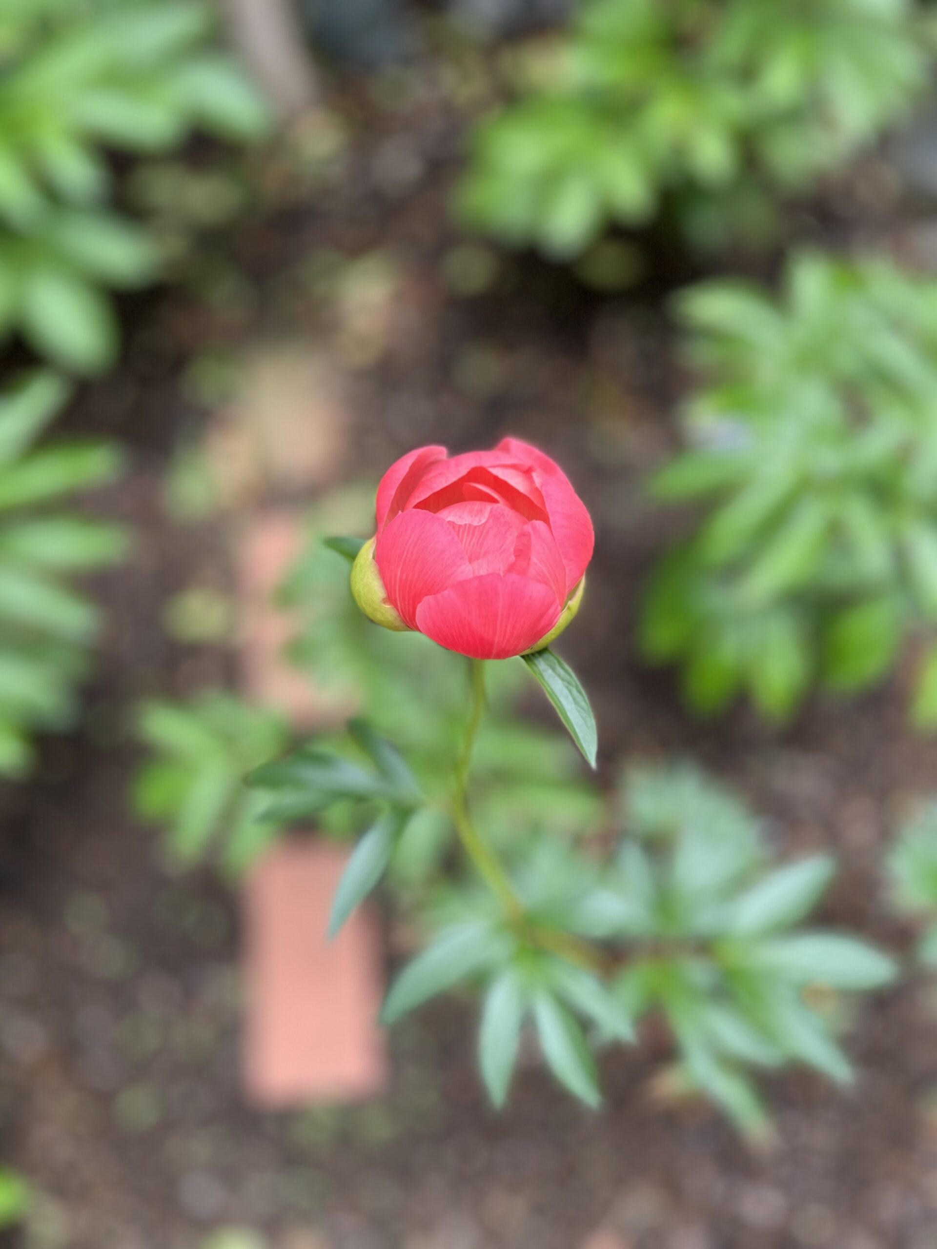 撮影：2026.4.27（月）12：45