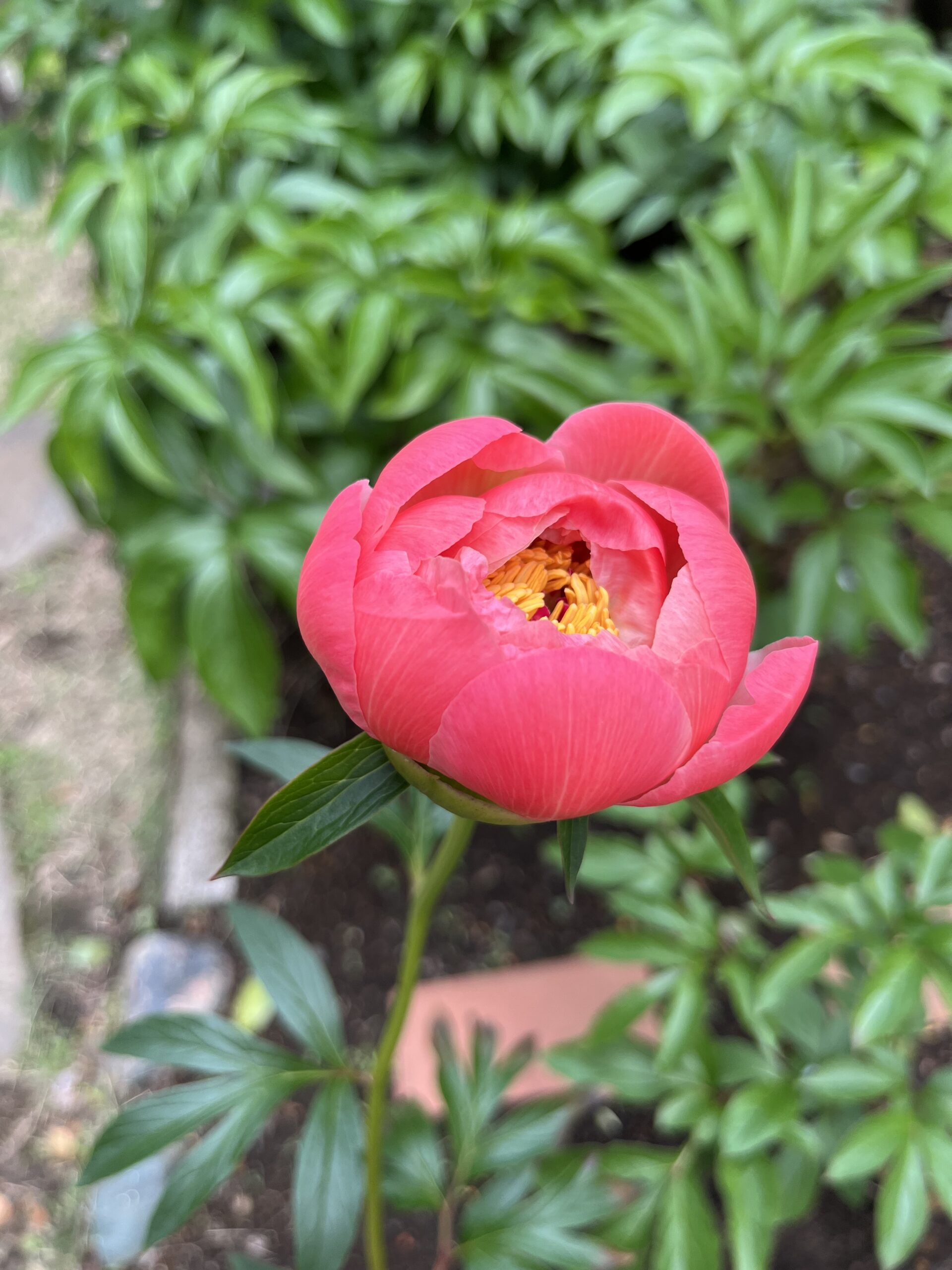 撮影：2026.4.27（月）13：08