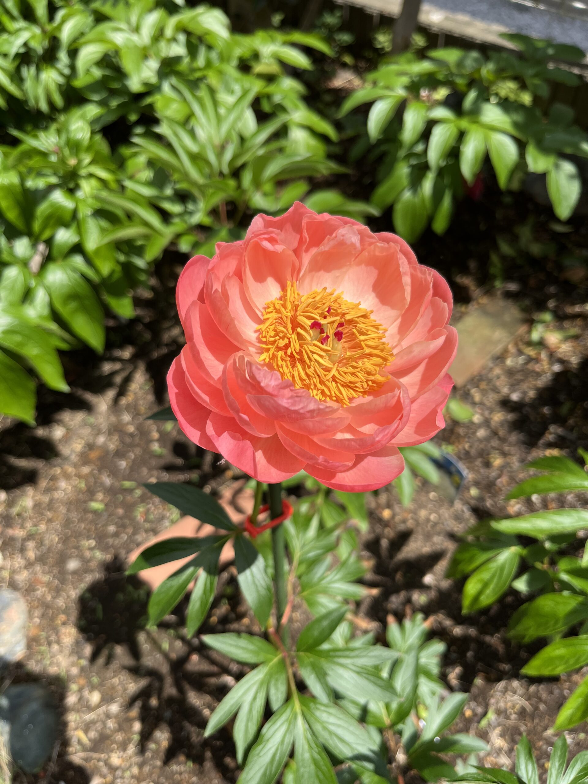 撮影：2026.4.28（火）12：43