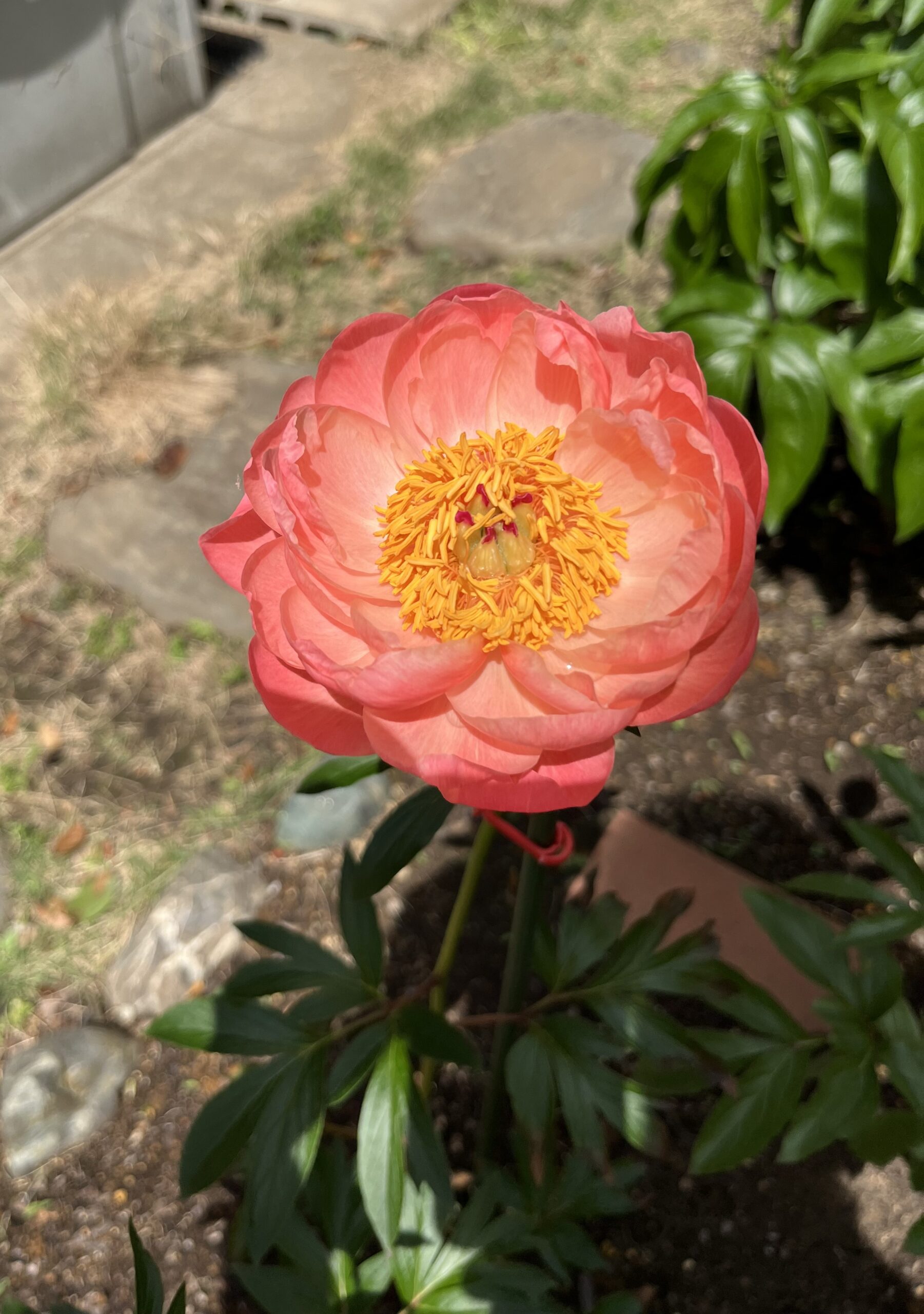 撮影：2026.4.28（火）12：43