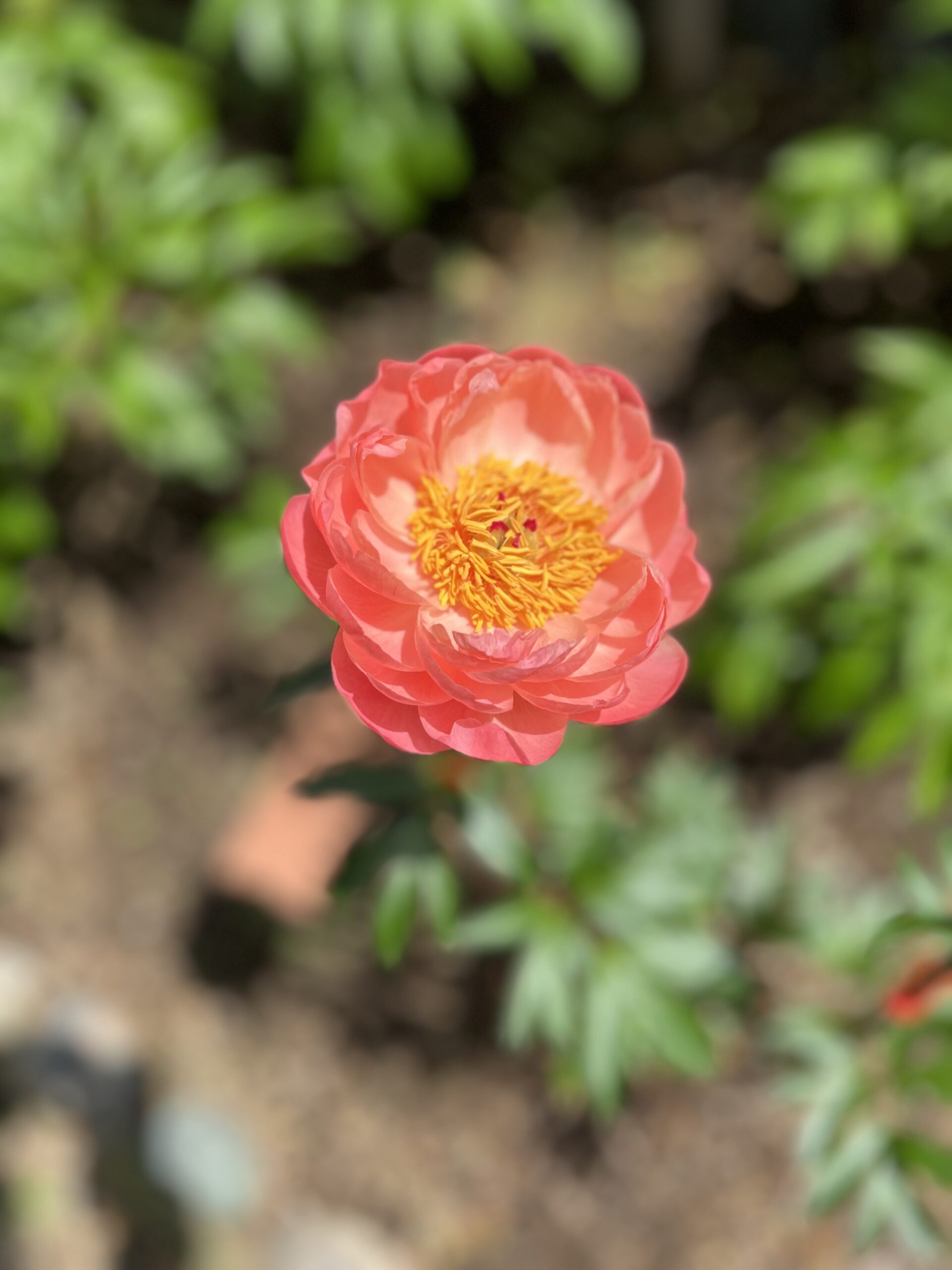 撮影：2026.4.28（火）12：44