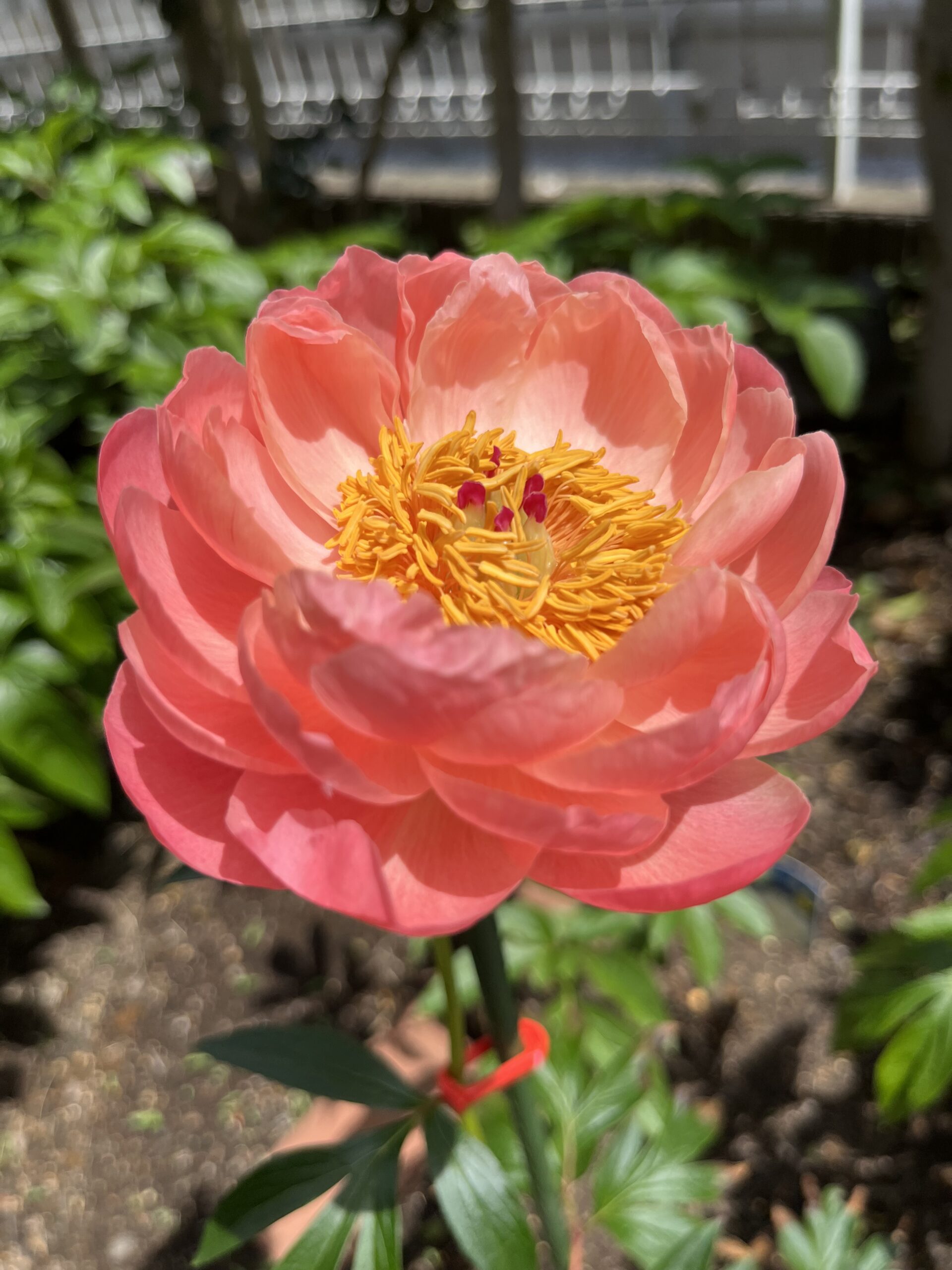 撮影：2026.4.28（火）12：47