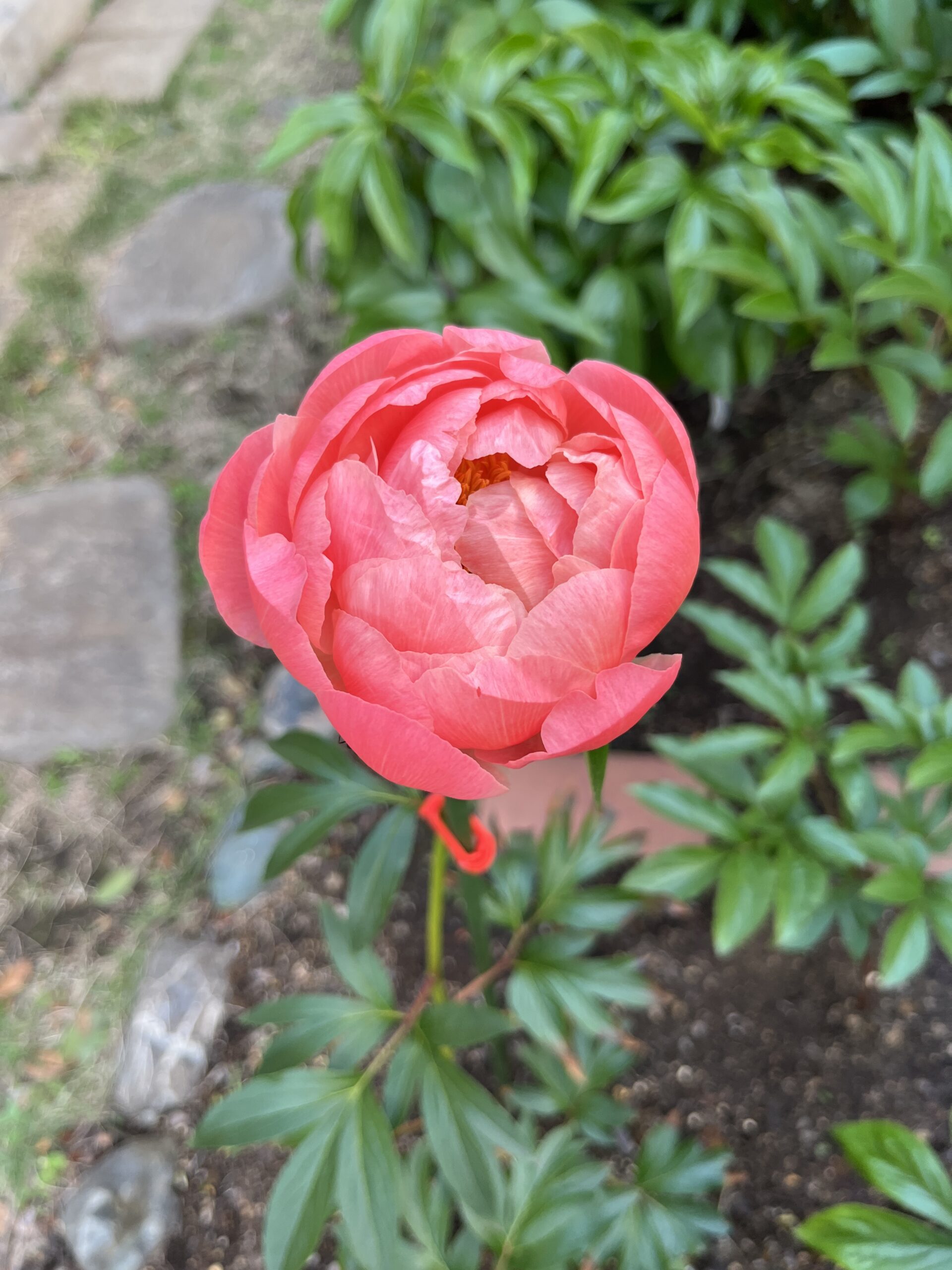 撮影：2026.4.28（火）17：11