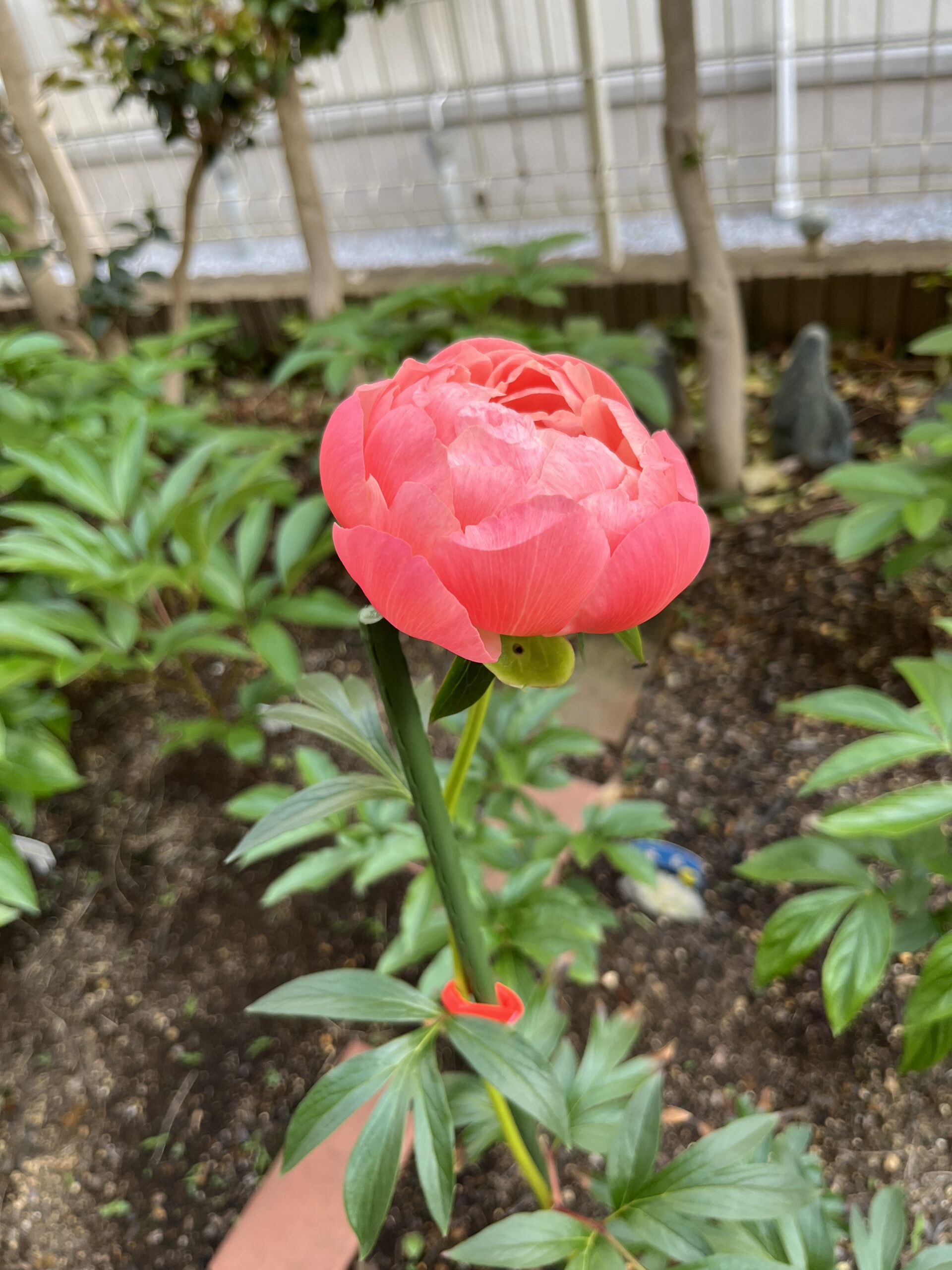 撮影：2026.4.28（火）17：12