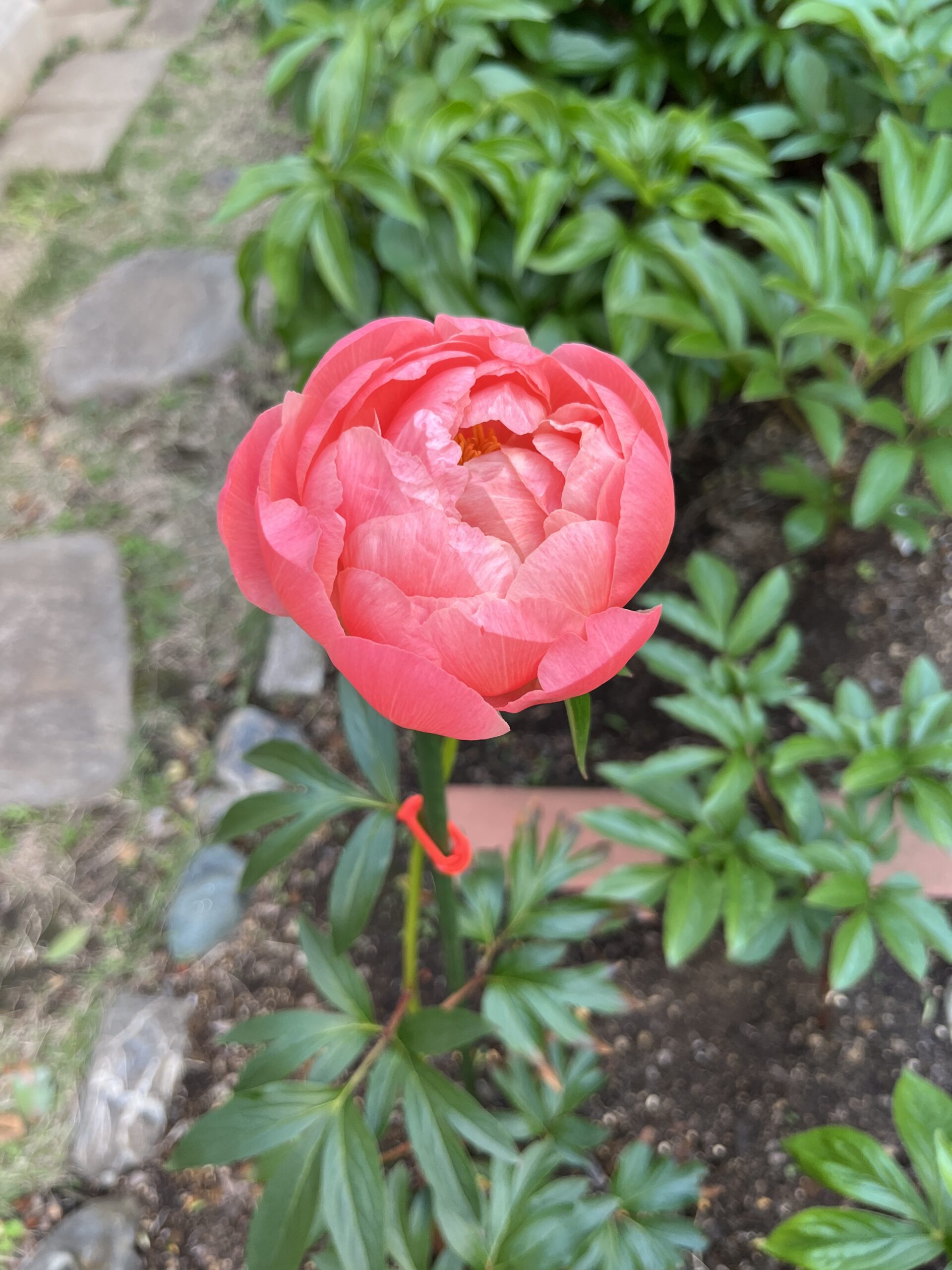 撮影：2026.4.28（火）17：13