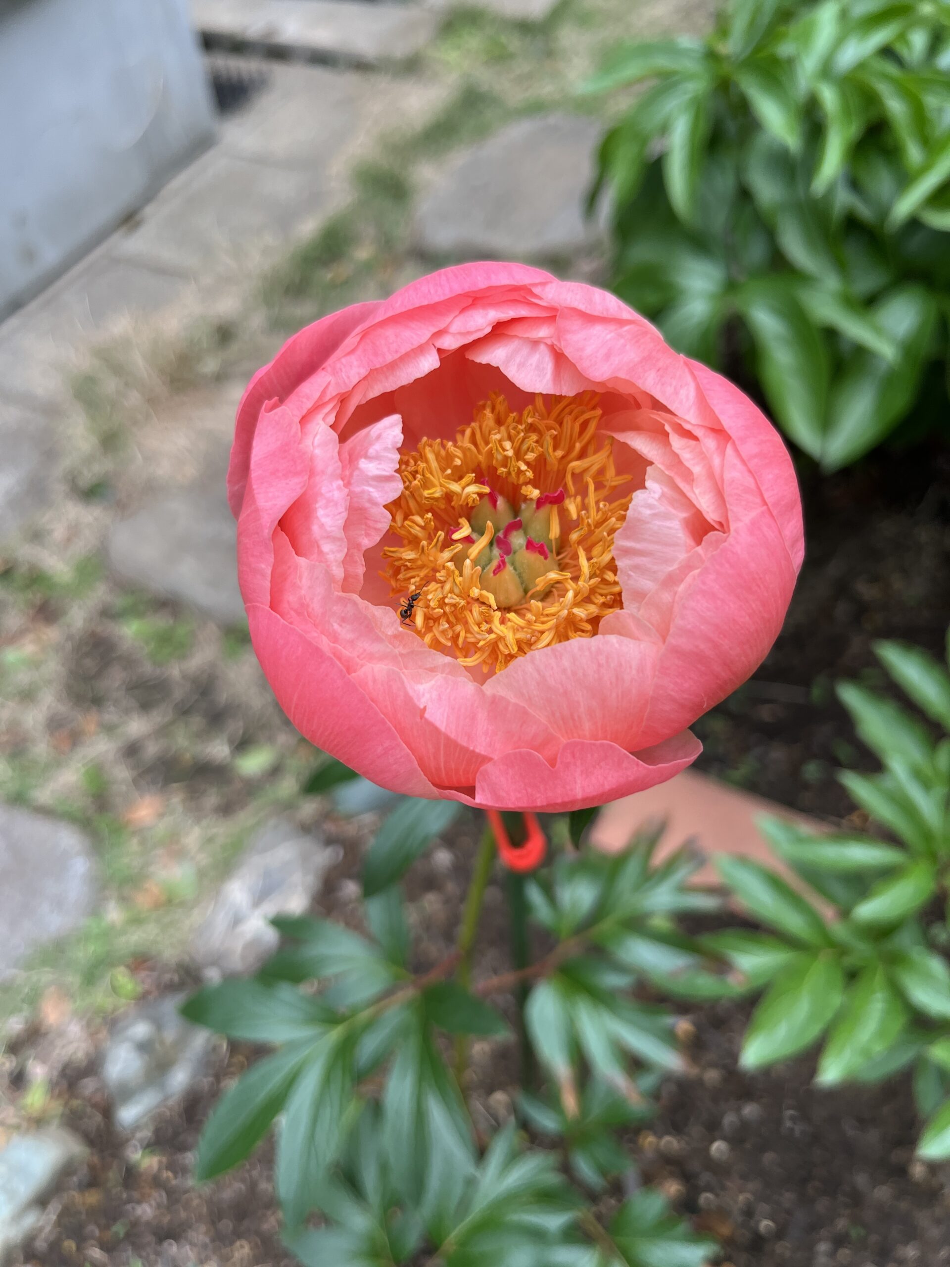 撮影：2026.4.29（水・祝）10：17