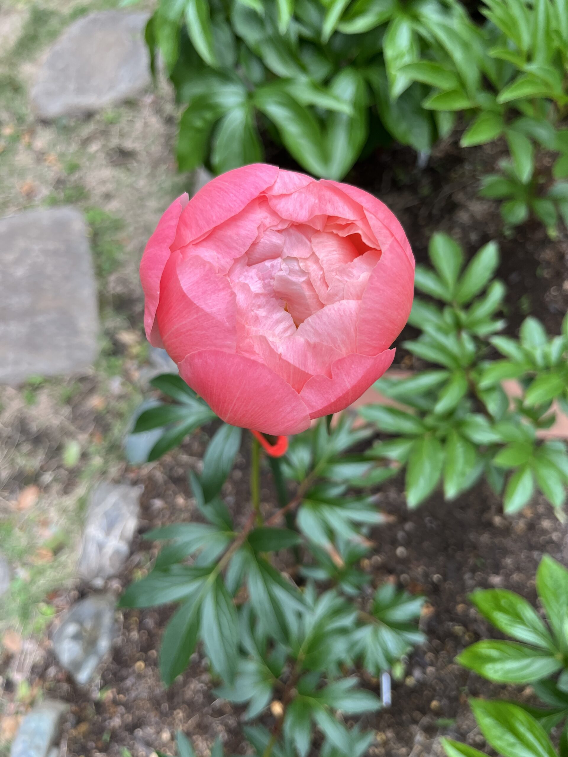 撮影：2026.4.29（水・祝）16：00