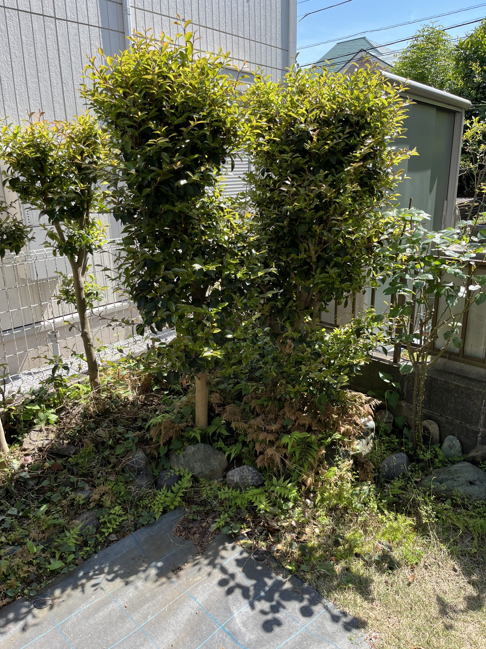 撮影：2026.5.02（土）